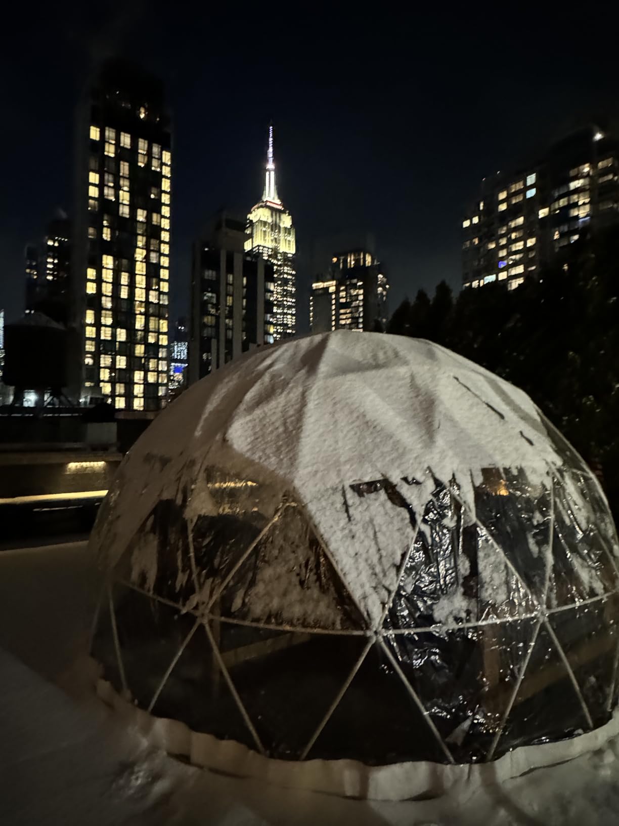 CZGBRO 12FT Garden Dome House, Outdoor Clear Dome Tent Shelter Geodesic Dome 5-7 Person for Backyard Patios, Canopy Gazebos Screen House Room Lean to Greenhouse customer photo 2