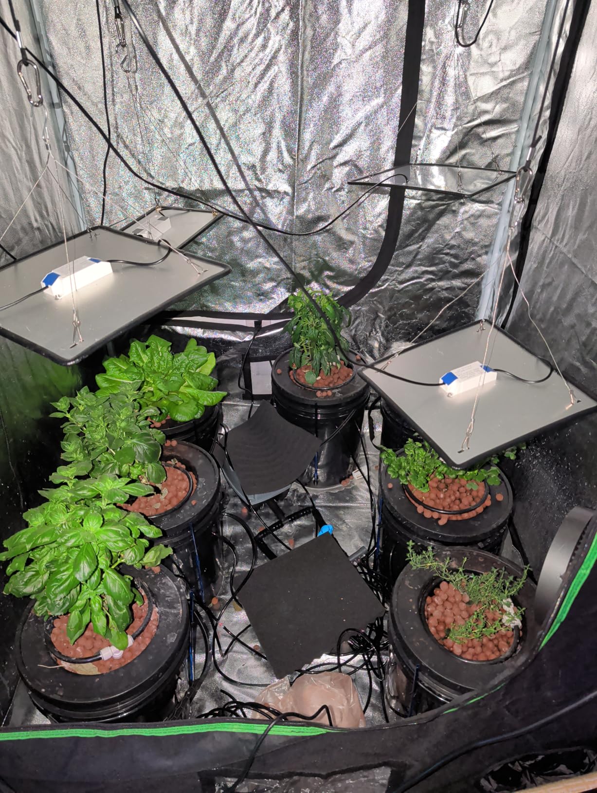 VIVOSUN DWC Hydroponics Grow System with Top Drip Kit, 5-Gallon Deep Water Culture, Recirculating Drip Garden System with Multi-Purpose Air Hose, Air Pump, and Air Stone (4 Buckets + Top Drip Kit) customer photo 1