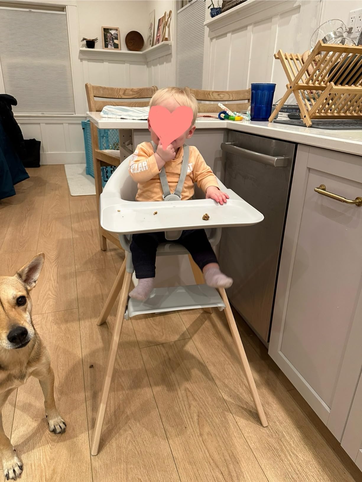 Stokke Clikk High Chair, Fjord Blue - All-in-One High Chair with Tray + Harness - Light, Durable & Travel Friendly - Ergonomic with Adjustable Features - Best for 6-36 Months or Up to 33 lbs customer photo 2