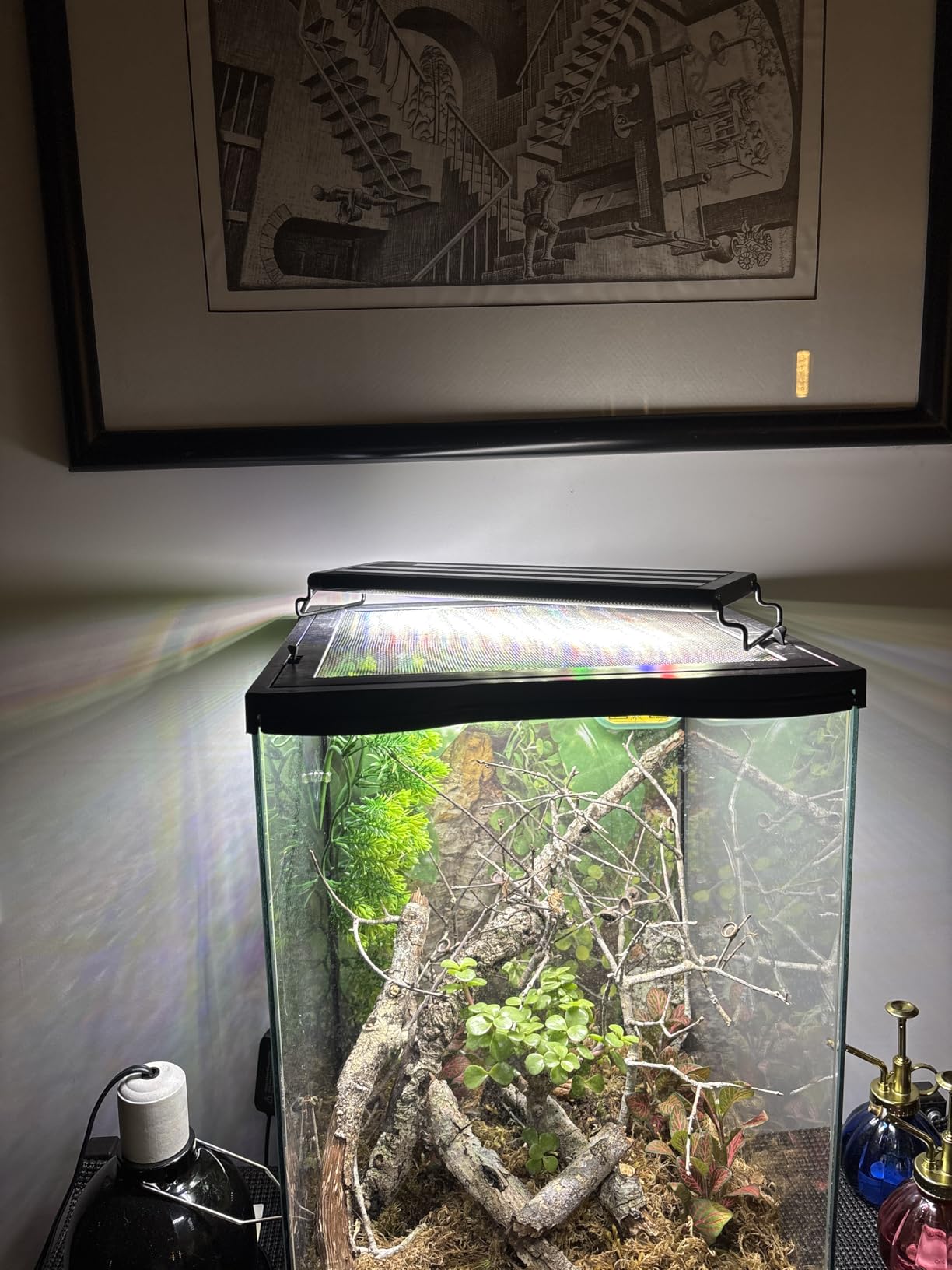 SEAOURA Led Aquarium Light for Plants-Full Spectrum Fish Tank Light with Timer Auto On/Off, 12-18 Inch, Adjustable Brightness, White Blue Red Green Pink LEDs with Extendable Brackets for Freshwater | Fish Tank Light for Freshwater Plant Growth, 12-18 Inch, Auto ON/OFF, 10 Brightness, Extend Bracket, Memory, Moonlight customer photo 1