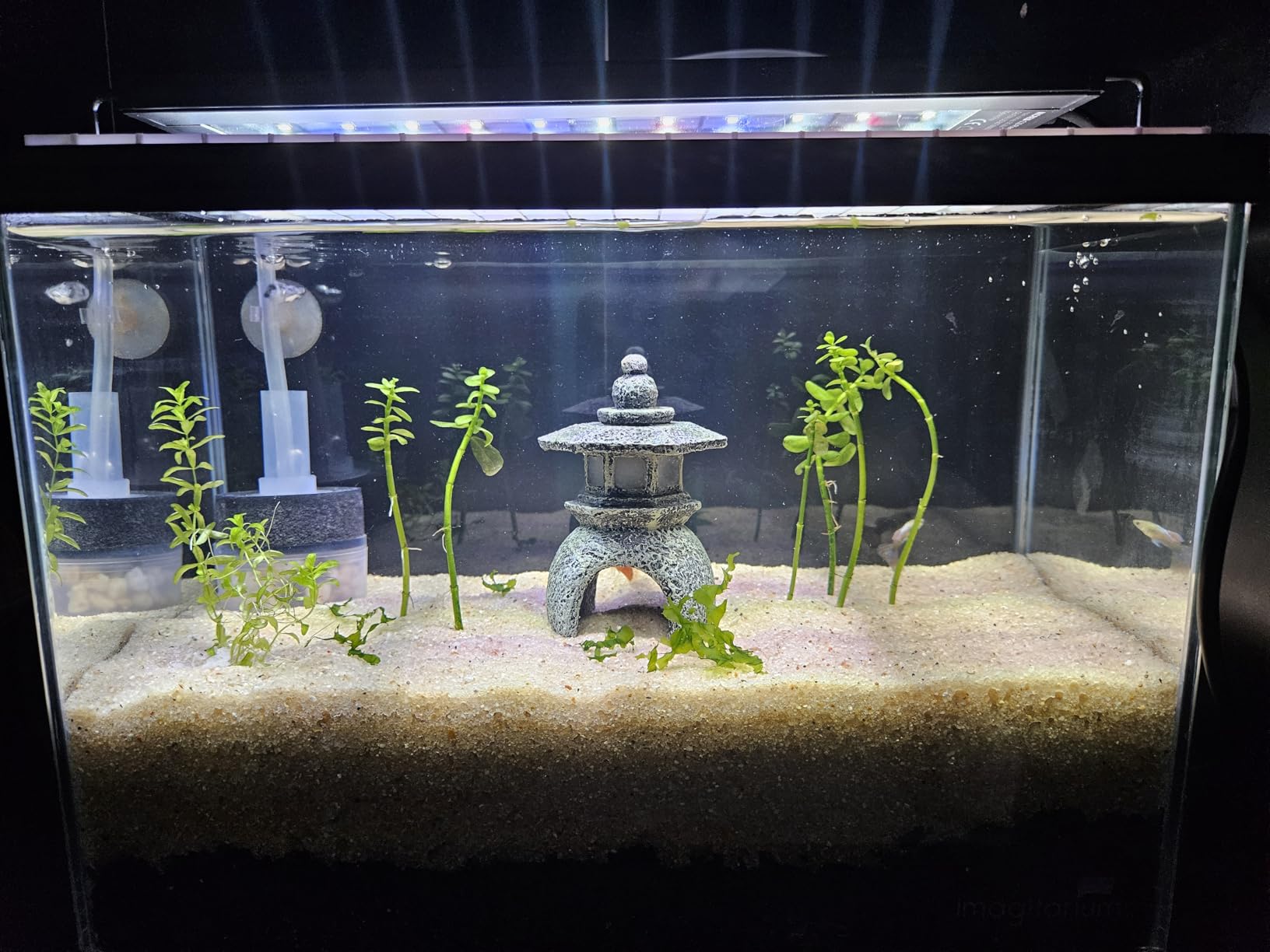 NICREW C10 Plants LED Aquarium Light, 12-18 in, 9 Watts, Full Spectrum Fish Tank Light with Timer, Day and Night Cycle, Brightness Adjustable customer photo 1