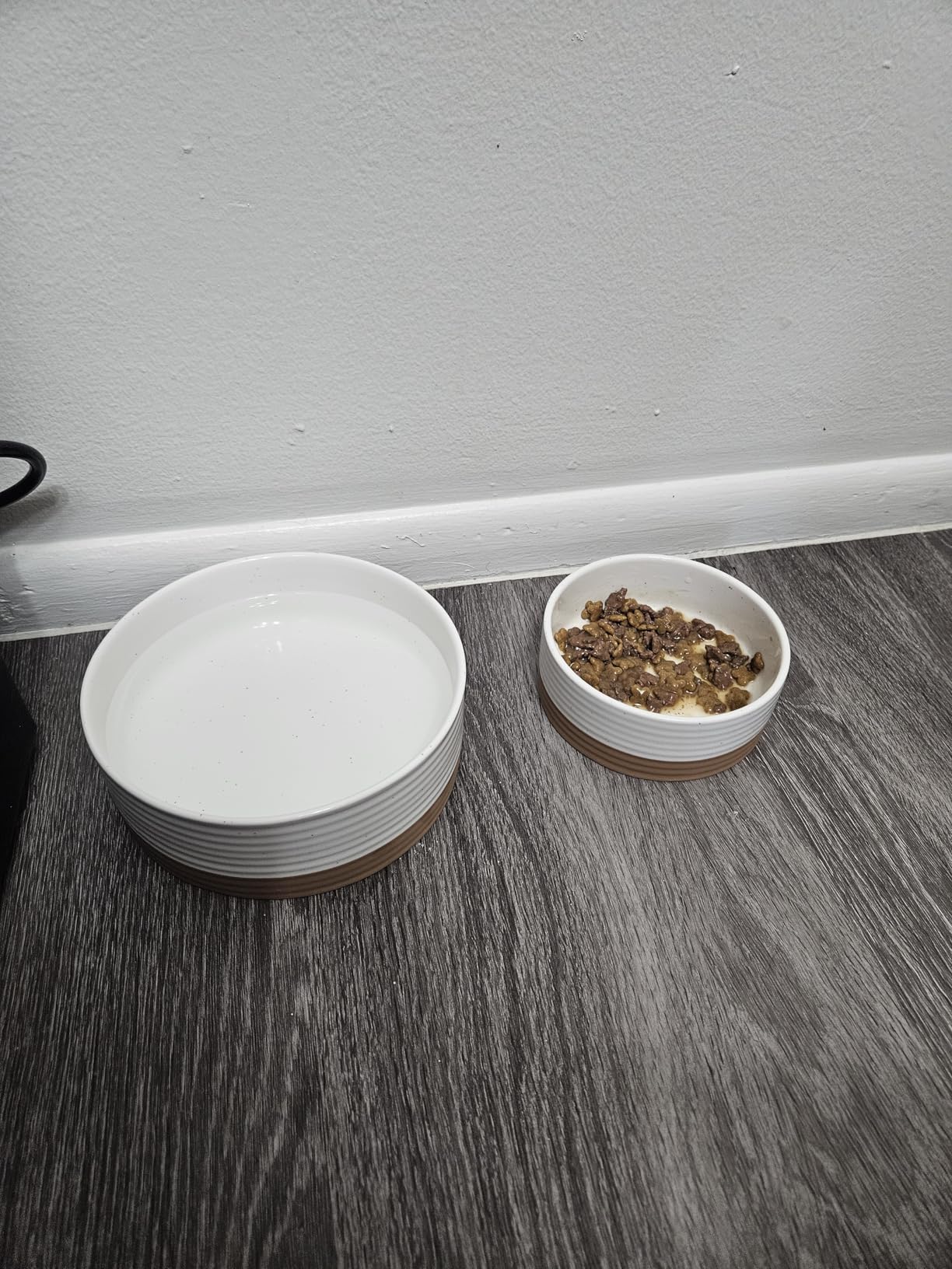 Mora Ceramic Pet Bowl Size Medium - Food/Water Dish for Large Puppies, Cats, Retrievers, Medium Sized Dogs - 28oz or 4 Cups - Vanilla customer photo 2