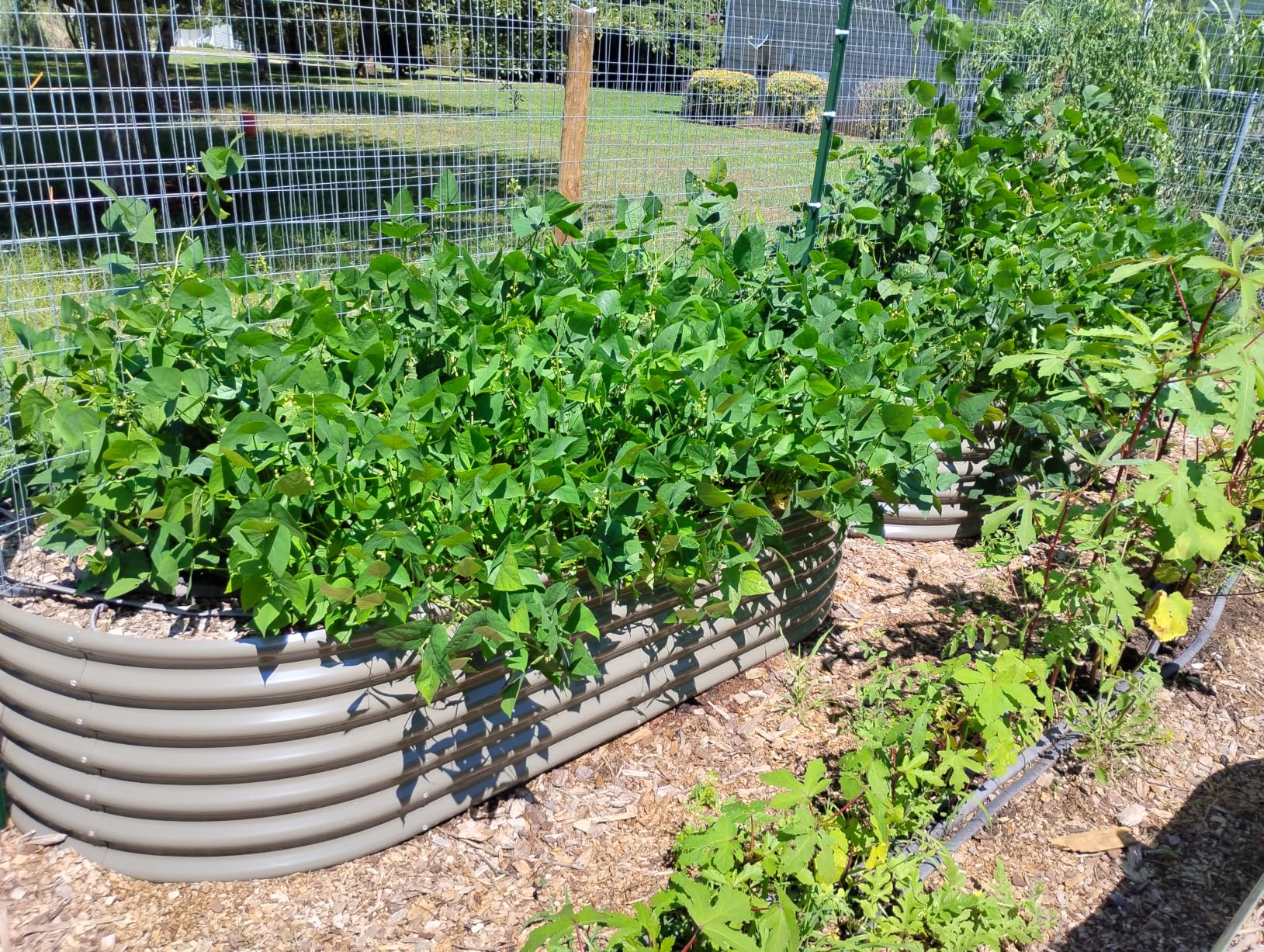 A ANLEOLIFE 8x4x2ft Galvanized Raised Garden Bed Kit, Oval Metal Deep Root Planters for Outdoor Plants Vegetables Flowers Herb, Large Bottomless, 478 Gallon Capacity- Quartz Grey customer photo 2