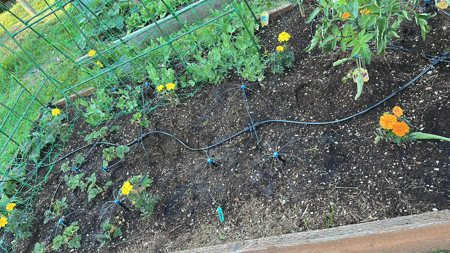Bonviee 230FT Drip Irrigation System, 33FT 5/16
