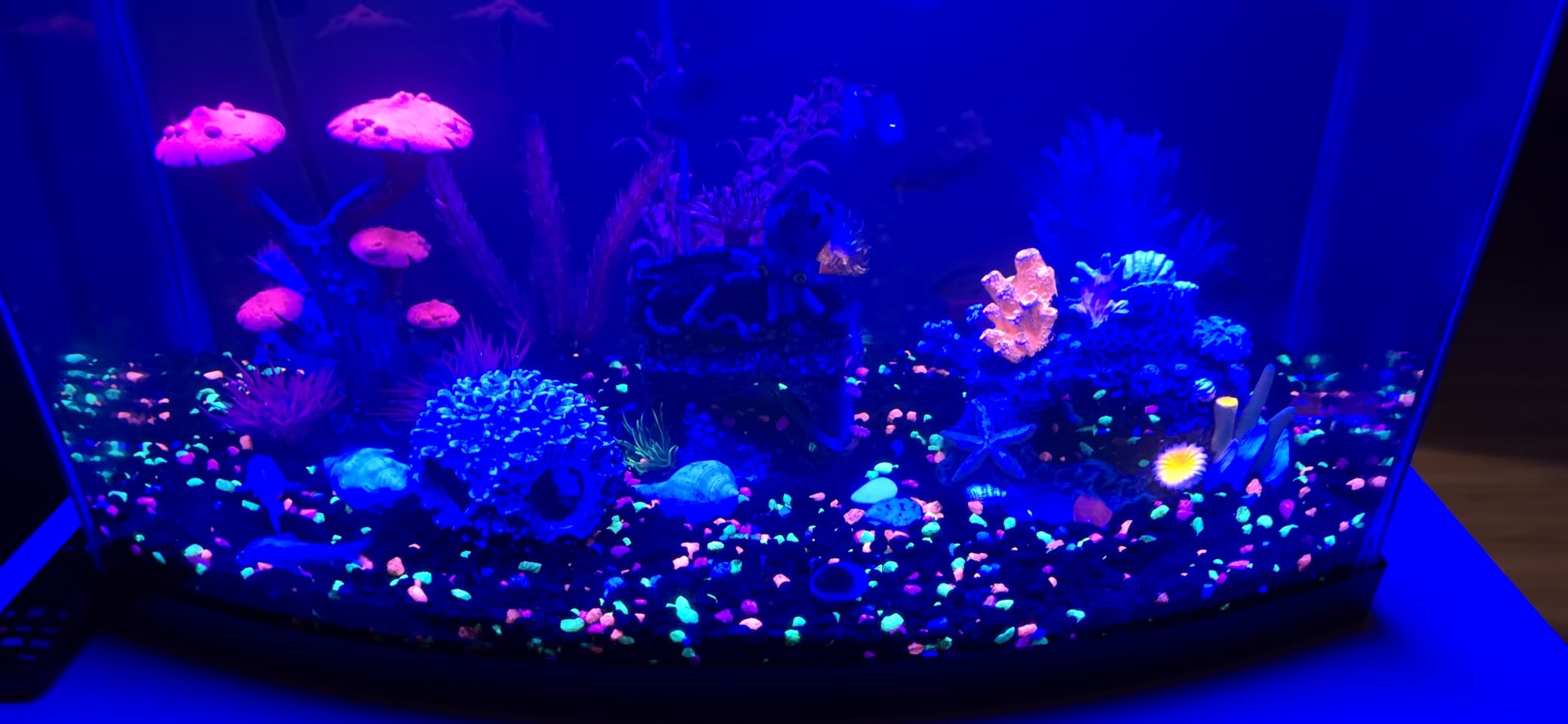 AQQA LED Aquarium Light, 24/7 Mode IP68 Waterproof Extendable Bracket Fish Tank Light, DIY Mode Full Spectrum Aquarium Plant Light, Adjustable Timer/Brightness Memory Function for 18-24 Inch Fish Tank customer photo 2