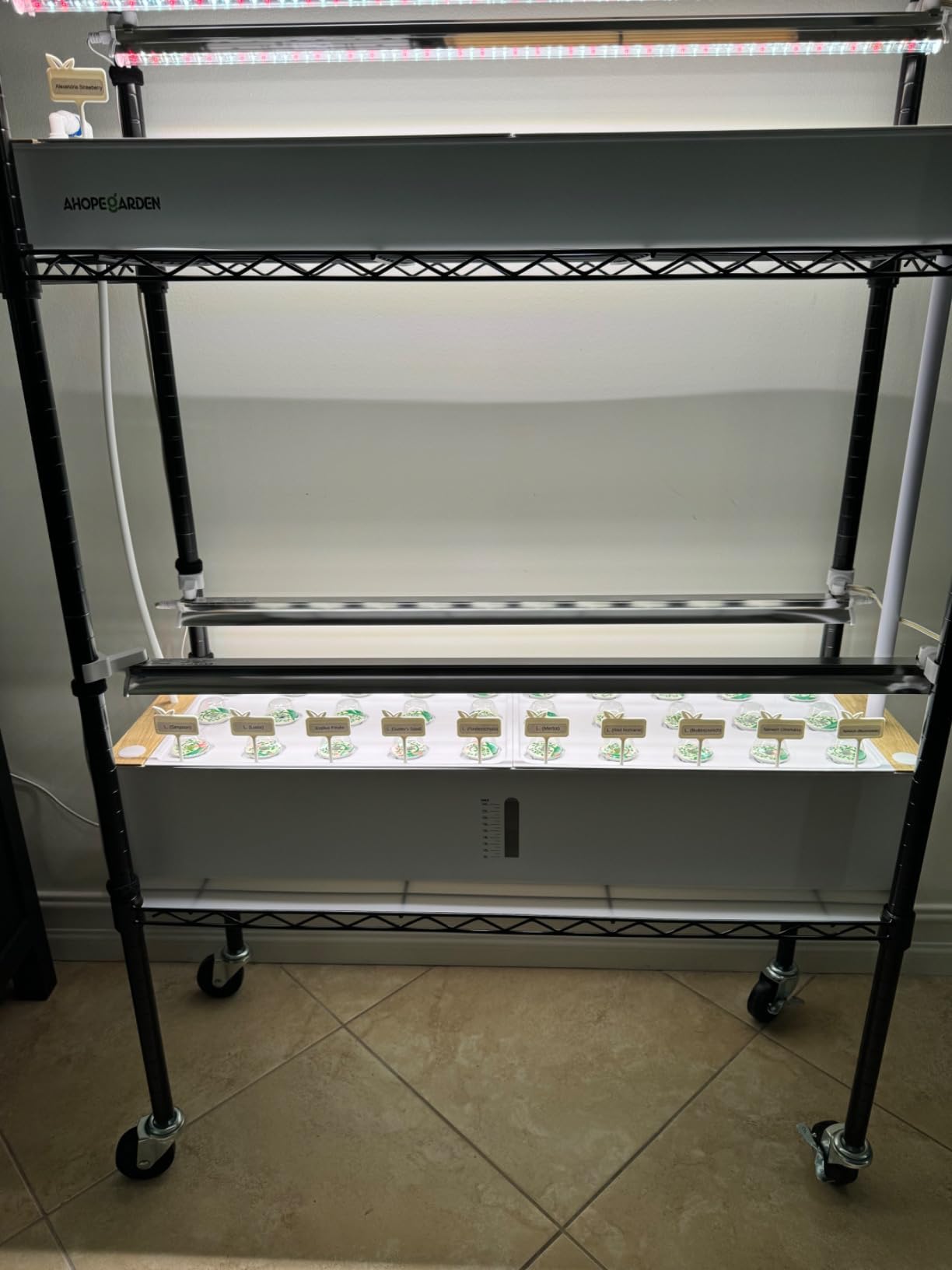 Ahopegarden Hydroponics Growing System Indoor Garden, 44 Pods Plant Herb Garden Germination Kit with LED Grow Light, 20L Double-Layer Large Capacity Hydrophonic Planter Grower for Vegetable Fruit customer photo 2