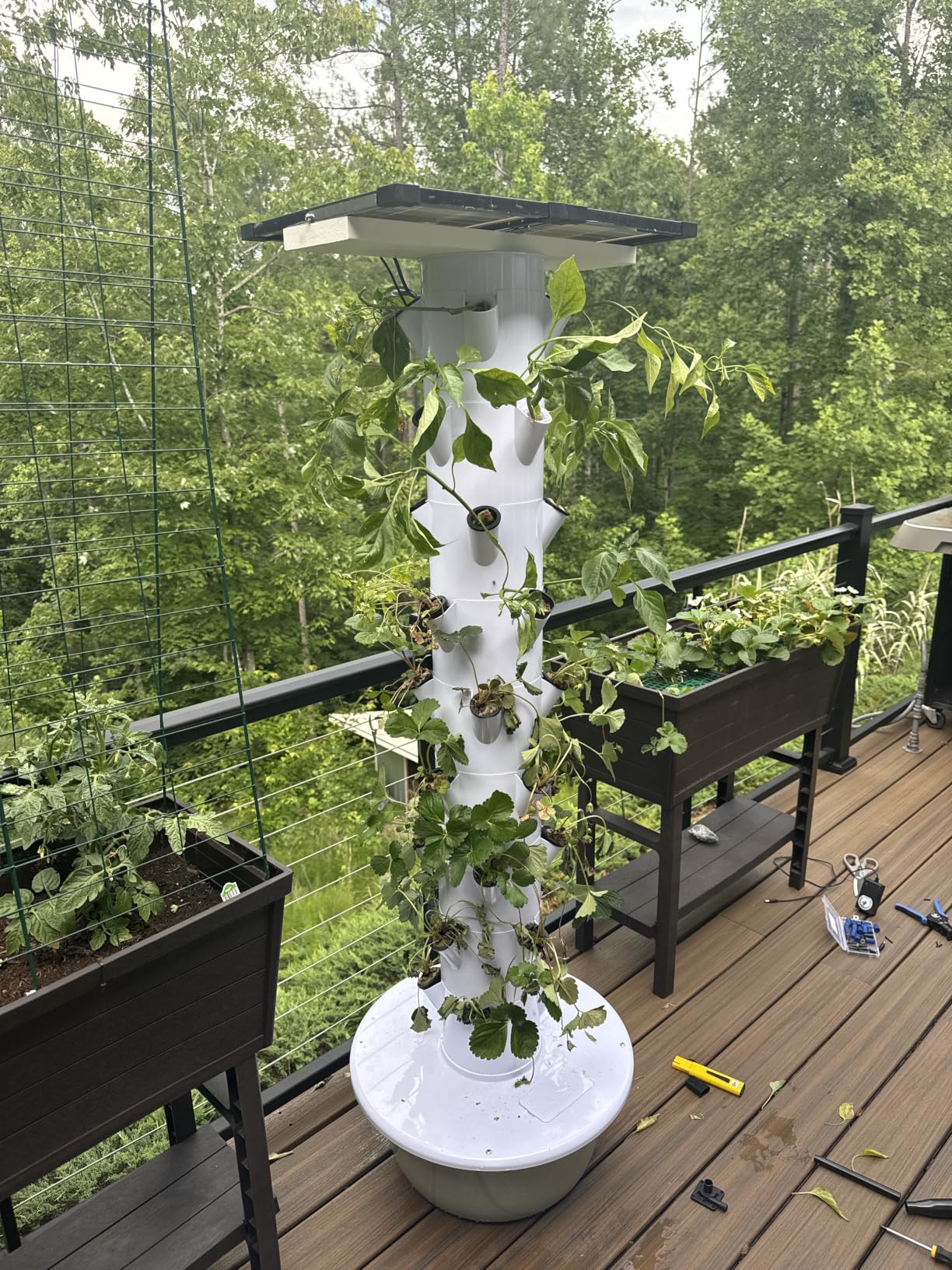 Vertical Hydroponic Grow Tower Aeroponic Tower for Fruits and Vegetables 9 Layer 36 Pots Planter with Water Tank and Pump customer photo 1