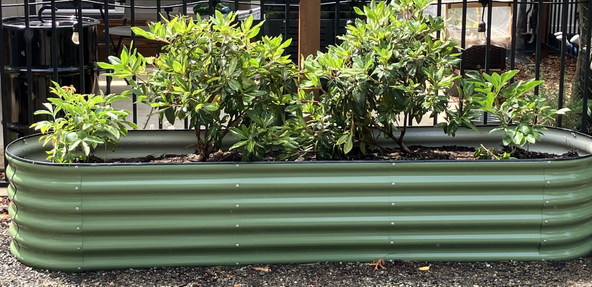 Galvanized Raised Garden Bed, 4x2x1ft, 2 Pack, Olive Green | Outdoor Oval Metal Garden Planter Box, Bottomless, Safety Edging, Includes Gloves, for Vegetables Fruits Flower and Herbs customer photo 1