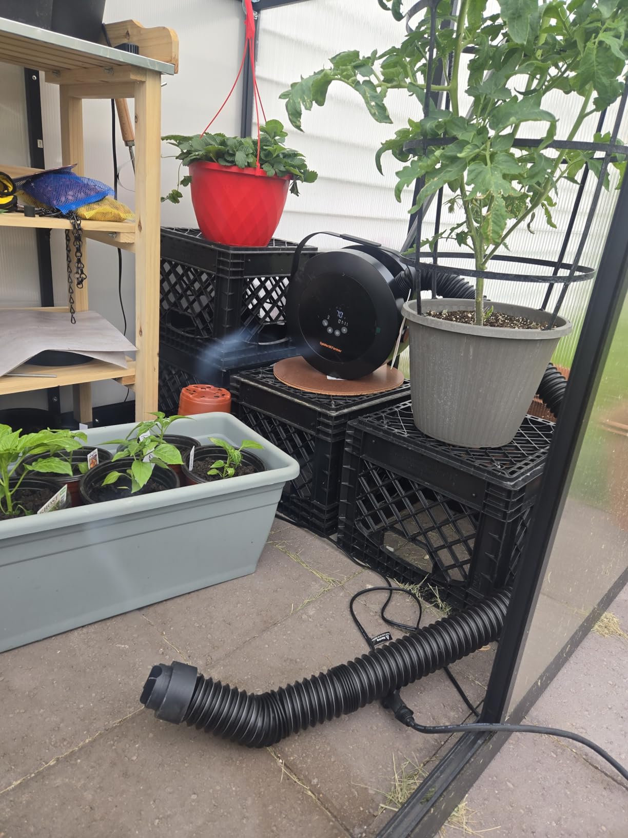 Spider Farmer Heater, 530W 10-Level PTC Heating for Grow Tent, Plant Room | Portable Heater with Extension Hose, Smart Temperature Control, 24H Timer customer photo 2