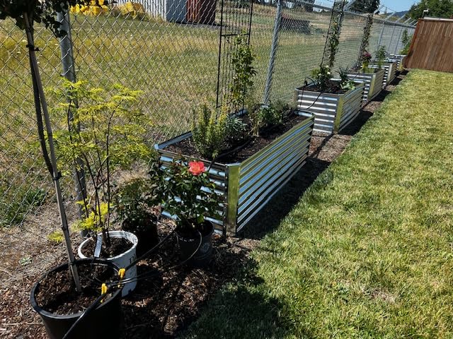 250FT Drip Irrigation System for Garden - 50FT 1/2