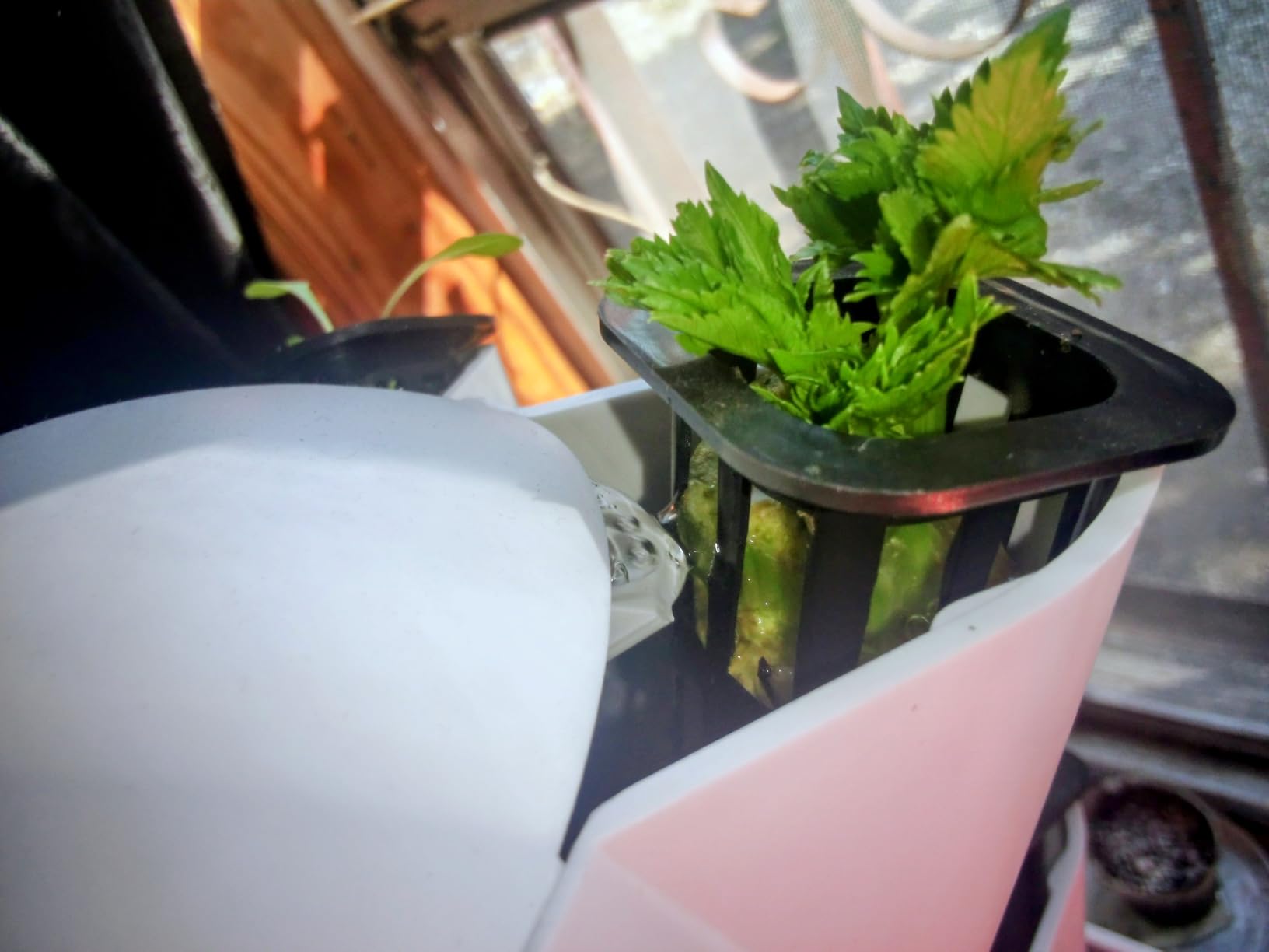 VEVOR Hydroponic Growing System, 30 Pods Vertical 6 Tiers Hydroponic Tower, Water Pump & Timer, Plants Germination Kit customer photo 2