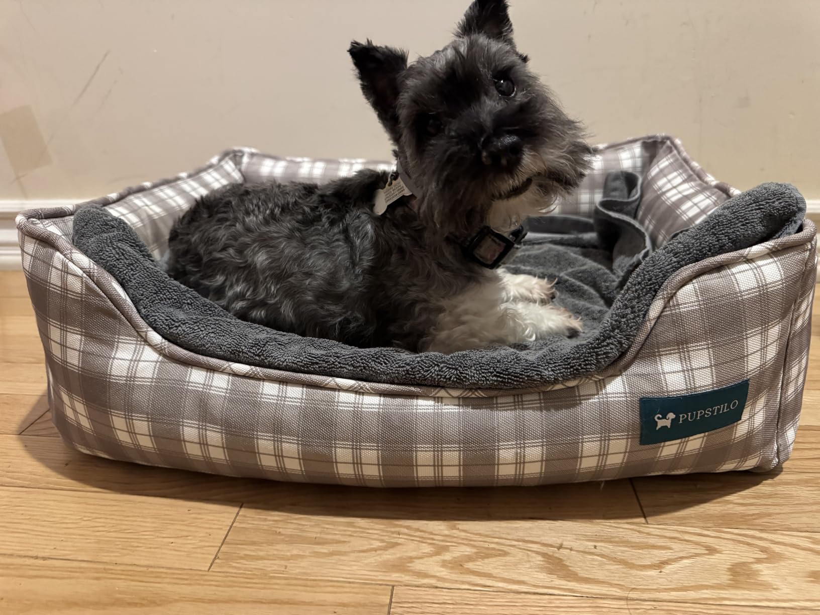 Orthopedic Bolster Dog Bed - CertiPUR-US Foam, Recycled Polyester Canvas, Washable Cover, Anti-Slip Bottom, Medium, Light Blue Check - Stylish Designer Dog Sofa customer photo 1