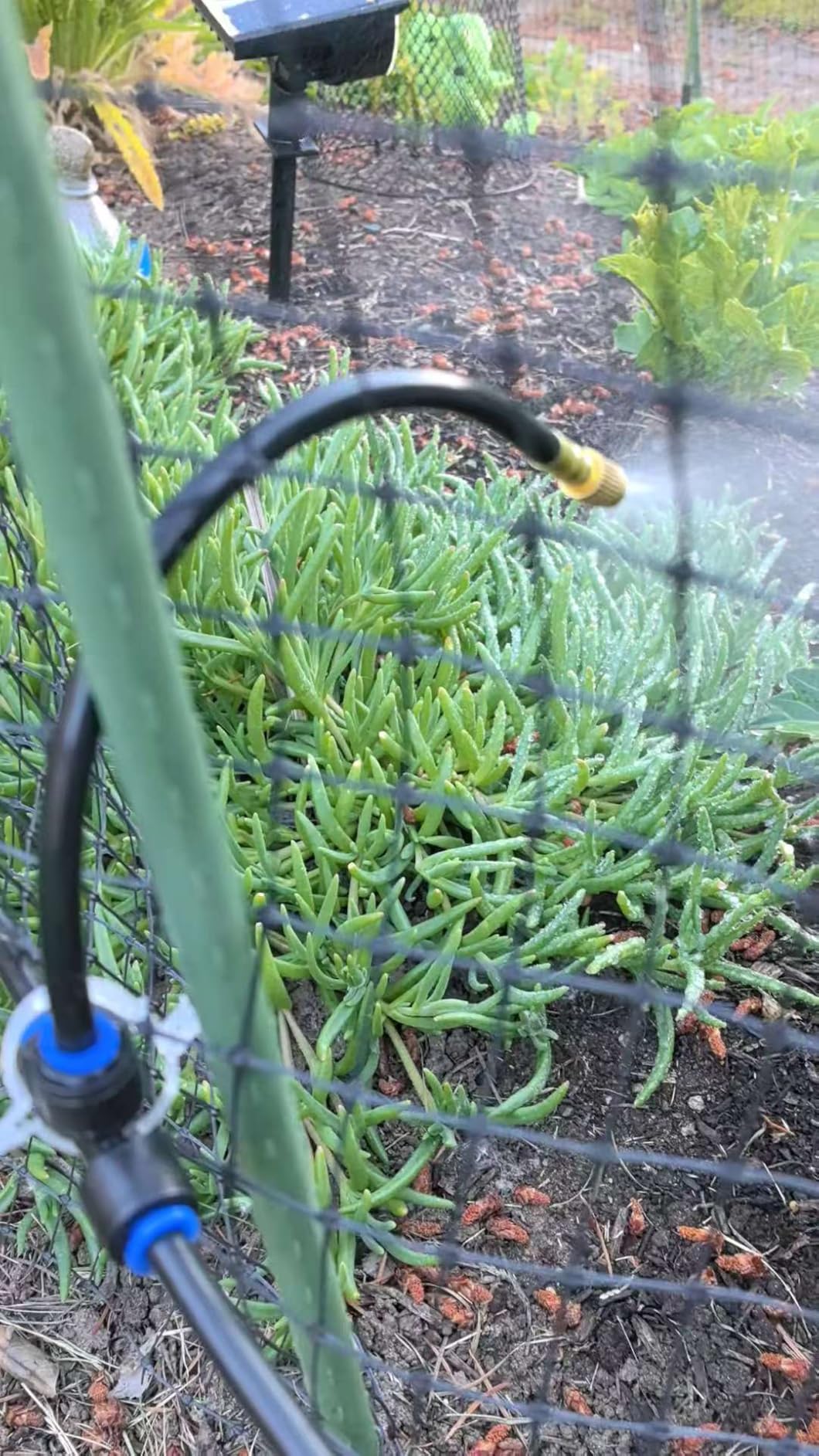 60Ft Drip Irrigation System with Smart Water Timer - Automatic Garden Watering Kit with Solid Brass Metal Connectors, 360° Adjustable Nozzles & Bendable Tubing for Garden, Greenhouse & Lawn customer photo 2