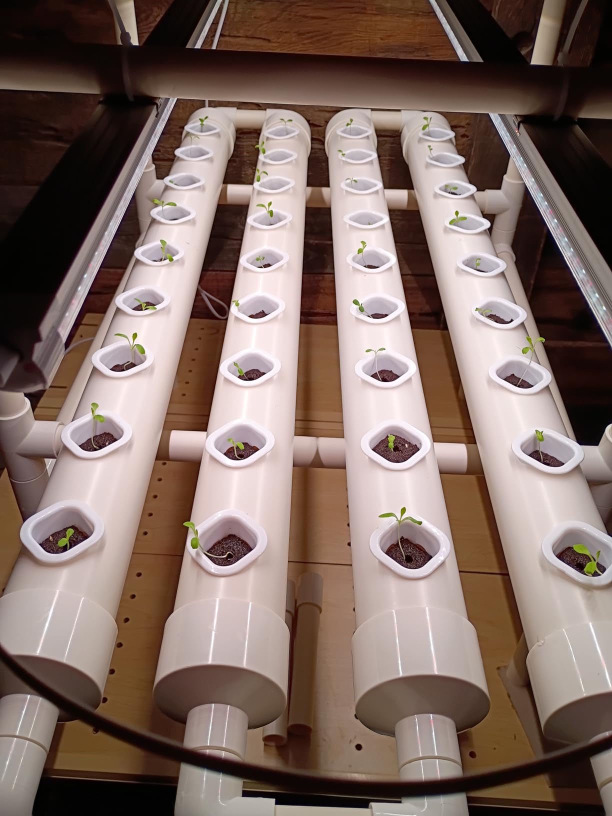 NFT Hydroponic Growing System Kit - Full-Spectrum Grow Lights & Timer | 36 Plant Sites | Food-Grade PVC-U Pipes | Auto Water Pump & Timer | Indoor Gardening for Leafy Greens, Lettuce & Herbs customer photo 1