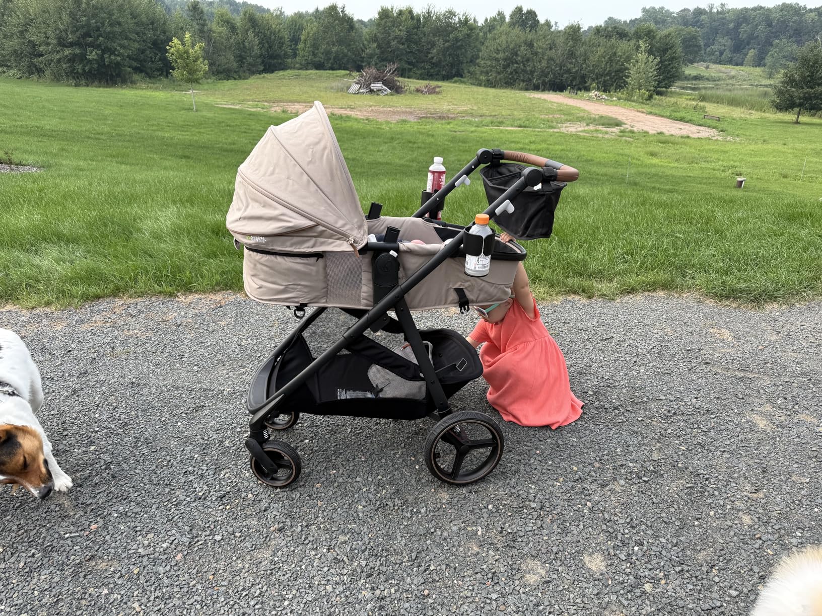 Evenflo Shyft Intuiti+ Stroller with Green & Gentle Fabric (Travertine) customer photo 2
