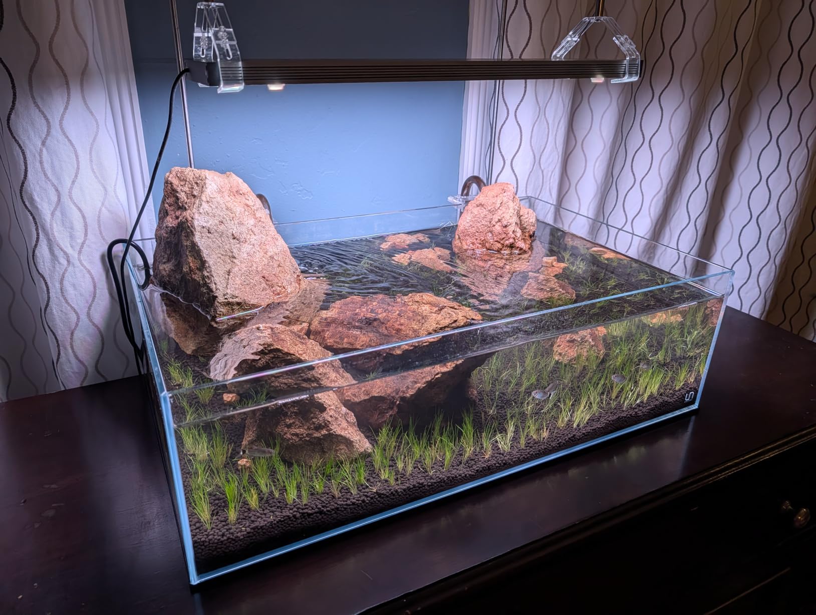FZONE 5L Upgraded Aquarium CO₂ System with Complete Accessories, CO₂ Generator kit with Integrated Solenoid & Bubble Counter, Safety Valve, Main Switch for Planted Tanks customer photo 2