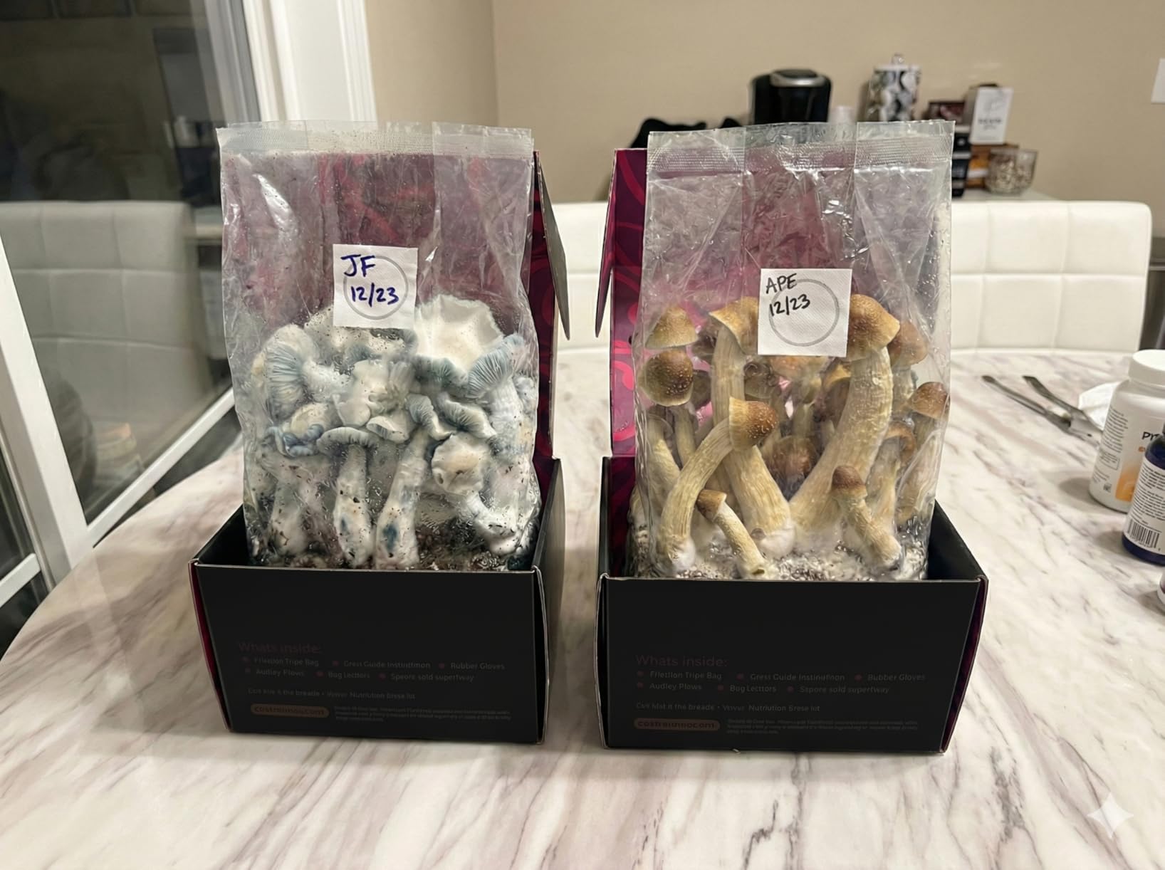 Mushroom Grow Kit - All-in-One 4LB Grow Bag with Self-Healing Port - Fast-Colonizing Universal Substrate for Any Mushroom - Multi-Flush High-Yield - USA Made (Just Add Your Own Culture) customer photo 1