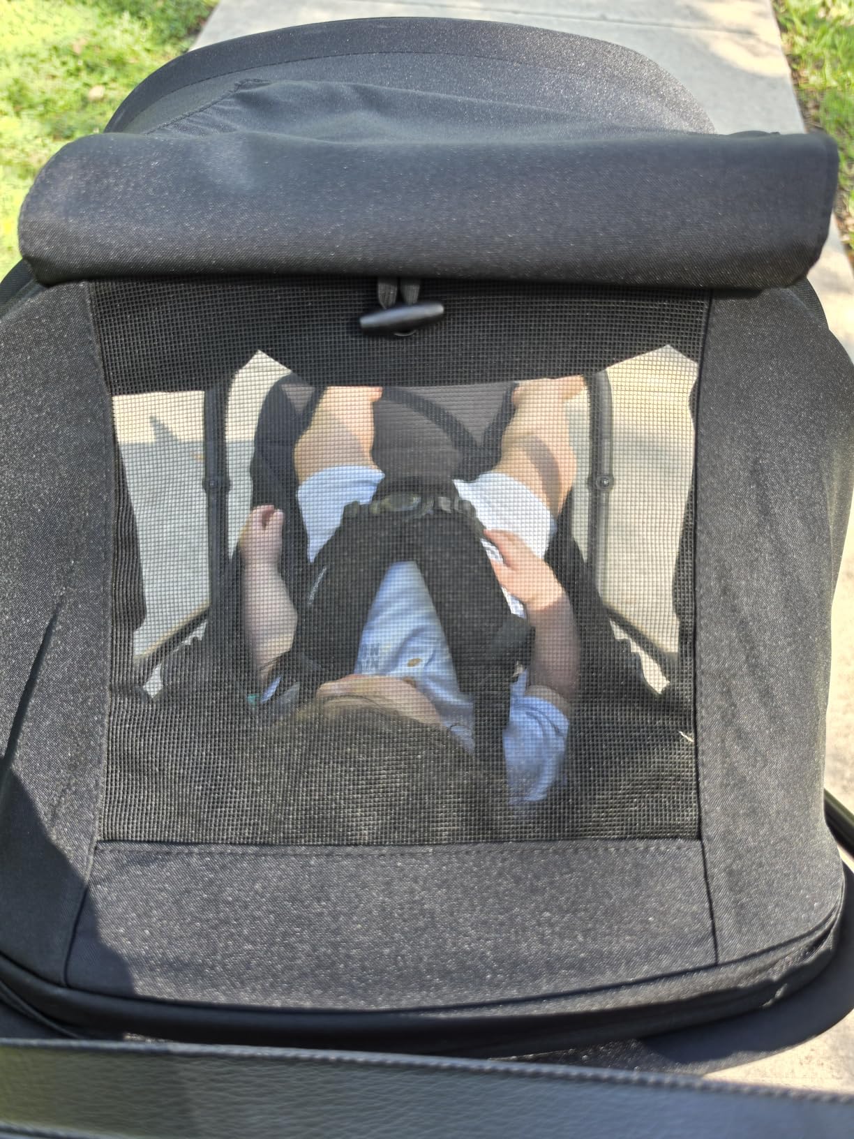 Momcozy TuckGo Ultra-Compact Travel Stroller for Toddlers, Carry-On Ready - Reclining Seat with UPF 50+ Canopy, Adjustable Leg Rest, 33 L Storage and Travel Bag Included customer photo 1