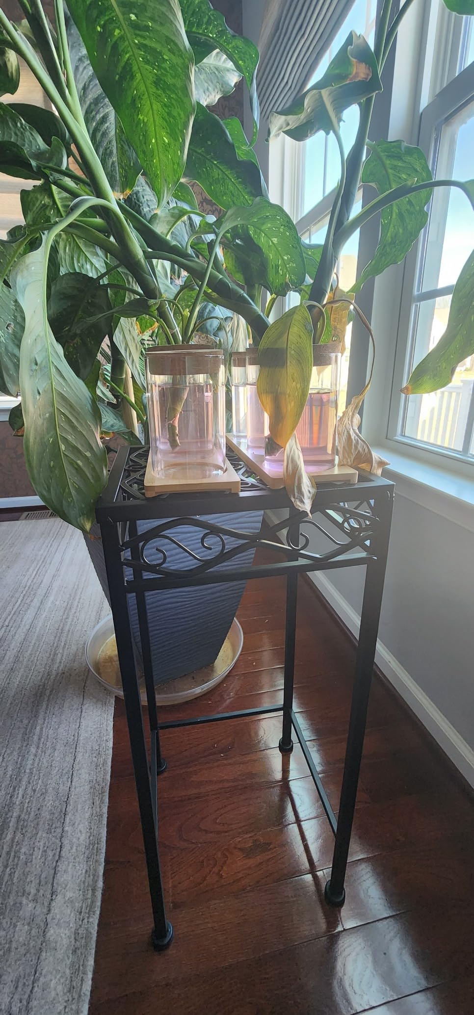 Vertical Hydroponic Tower Garden - Hydroponics Growing System Indoor | Aeroponic Tower Kit 30 Pods Grow for Strawberry, Lettuce, Herb, Vegetable, Tomato customer photo 1