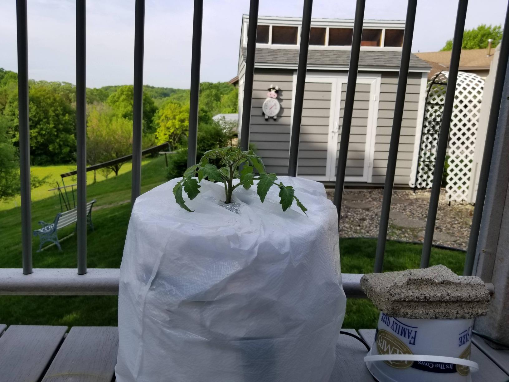 Deep Water Culture (DWC) Hydroponic Bucket Kit 5 Gallon, 6 inch customer photo 2