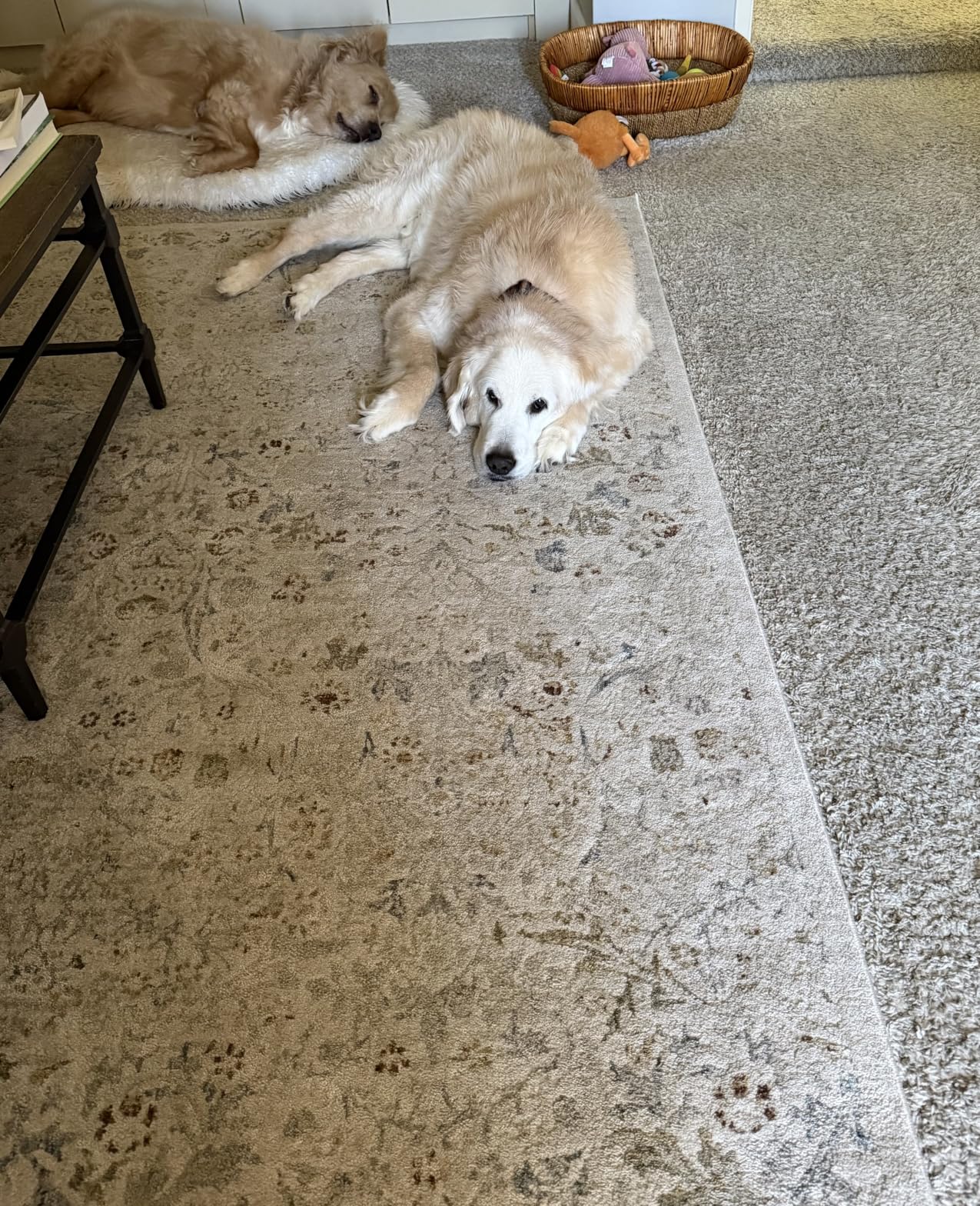 Mohawk Home Felt Rug Pad 8' x 10' - 1/4 Inch Thick Cushion for Area Rugs, Protective Underlay for Hardwood Floors, Comfort and Insulation - Felt Only Pad customer photo 1