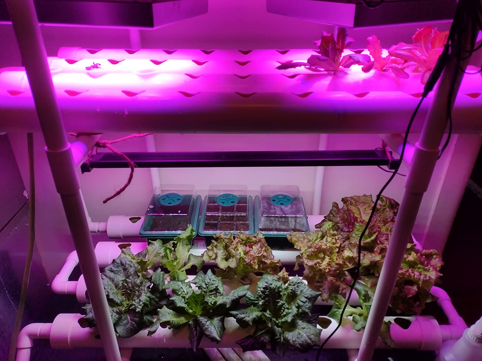Hydroponic Growing System NFT with Timer Control, PVC Pipe 108 Planting Hole, Garden Water Culture Plant Salad Vegetable with Timer, Square Net Pot, Sponge customer photo 2