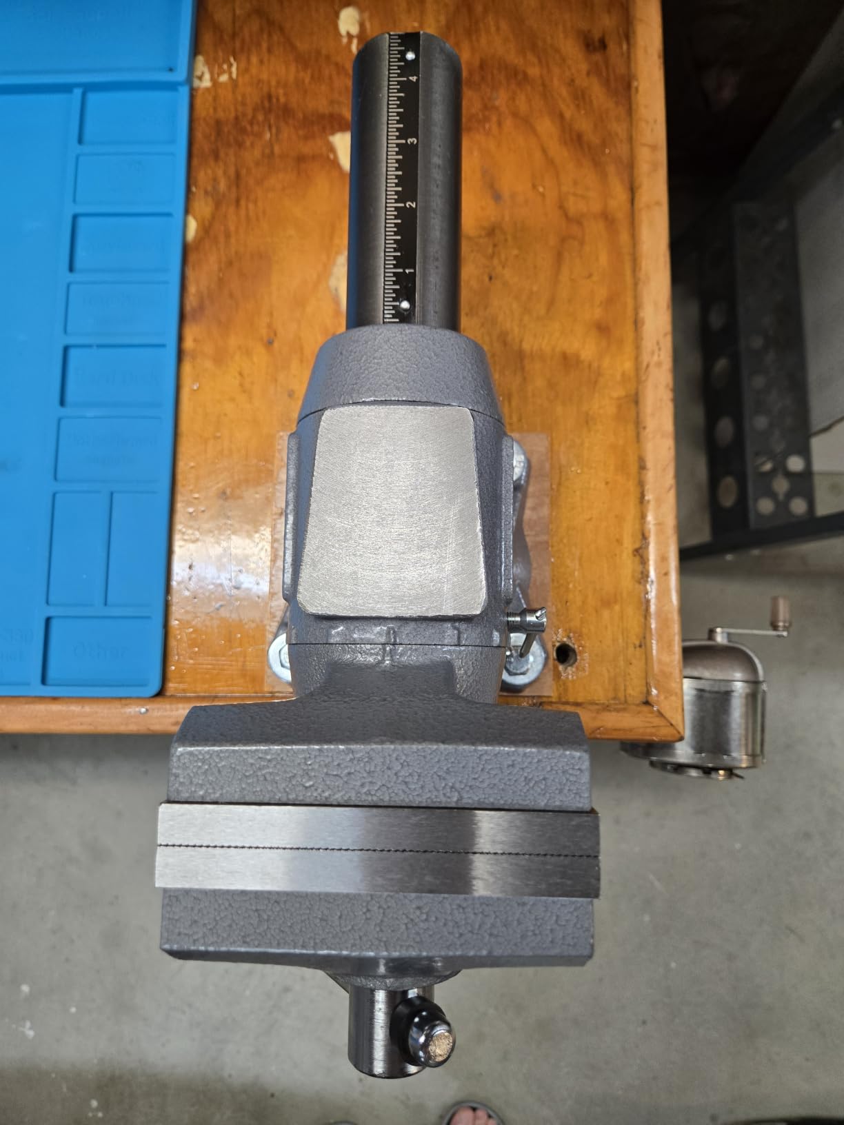 Wilton Multi-Purpose Bench Vise, 5-1/2