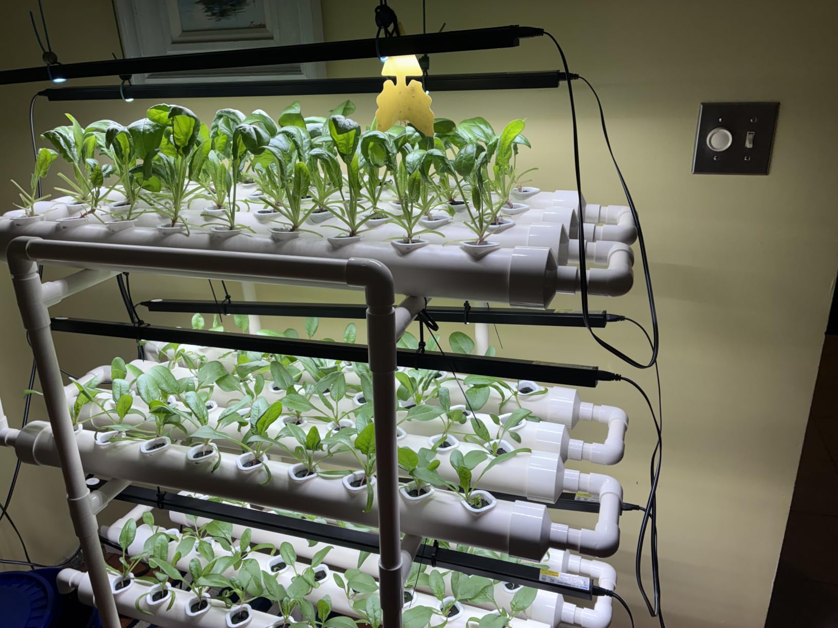 VIVOSUN Hydroponics Growing System 108 Plant Sites, 3 Layers 12 Food-Grade PVC-U Pipes Gardening System Grow Kit with Water Pump Timer, Nest Basket and Sponge for Leafy Vegetables customer photo 1