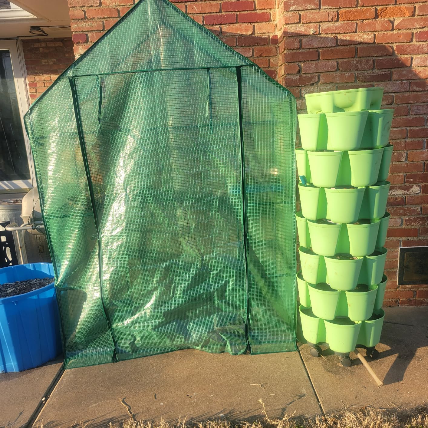 56x30x76 Mini Walk-in Greenhouse, Portable Plant House with 3-Tier Shelves | PE Cover, Roll-Up Door, Steel Frame customer photo 1
