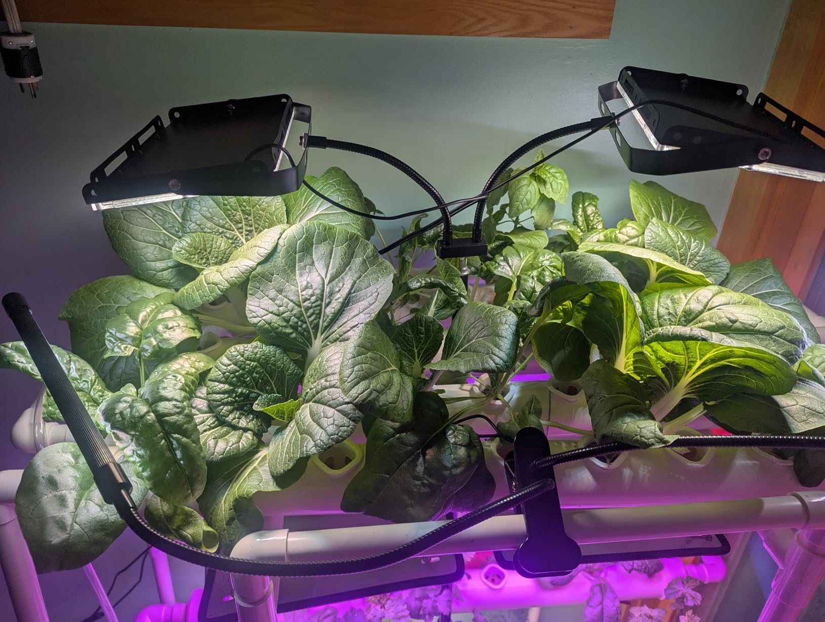 Hydroponics Growing System Kit 36 Plant Sites Food-Grade PVC-U Pipes Hydroponic Grow Kit Gardening System for Vegetables, Fruits, Herb customer photo 2