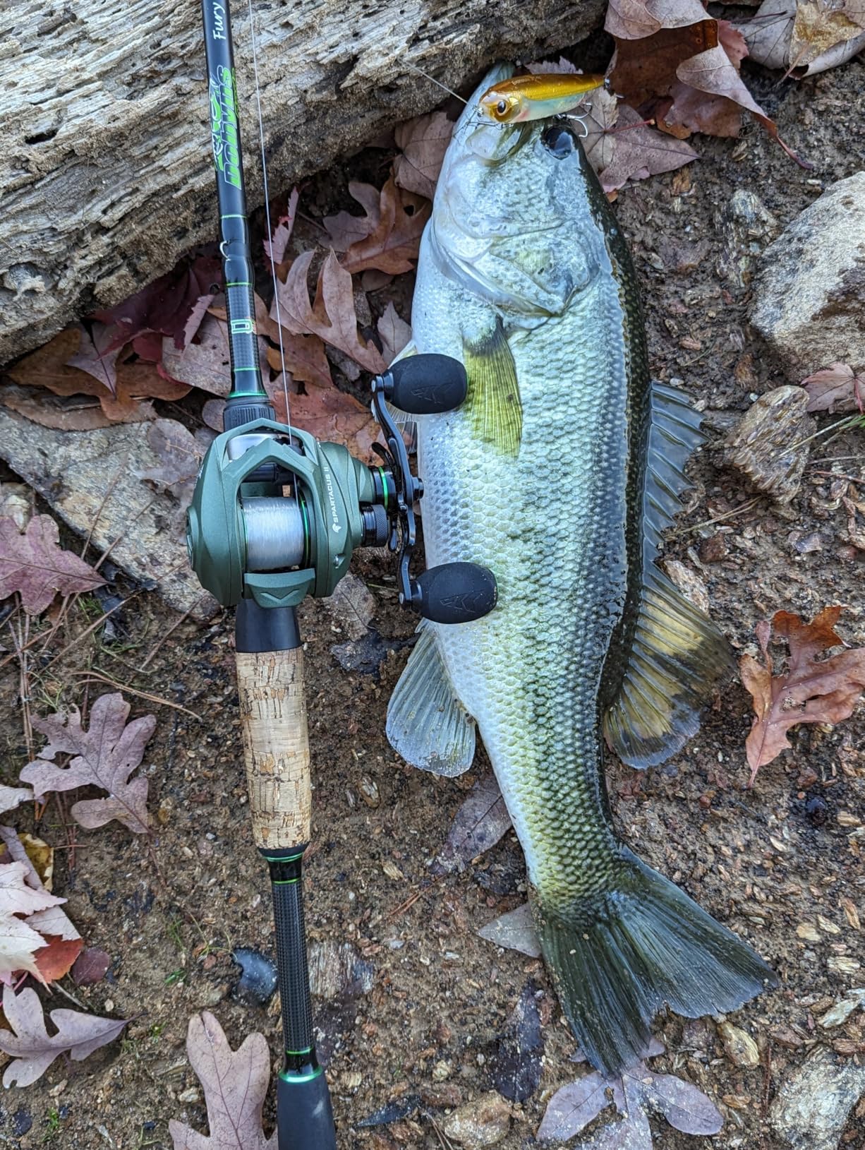 KastKing Spartacus II Baitcasting Fishing Reel, 6oz Ultralight Baitcaster Reel, Super Smooth with 17.6 LB Carbon Fiber Drag, 7.2:1 Gear Ratio, 39mm Palm Perfect Lower Profile Design customer photo 2