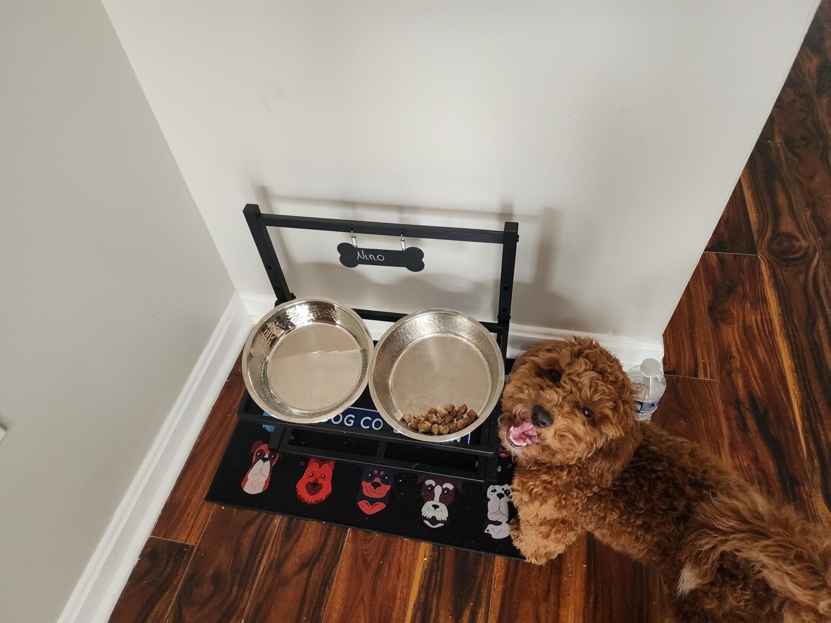 URBUDDIES 2 Pack Hammered Stainless Steel Dog Bowls, 4 Cup, Gray Bottom | Premium Metal Dog Bowls with Non Slip Rubber Bottom, Dishwasher Safe, Easy to Clean customer photo 1