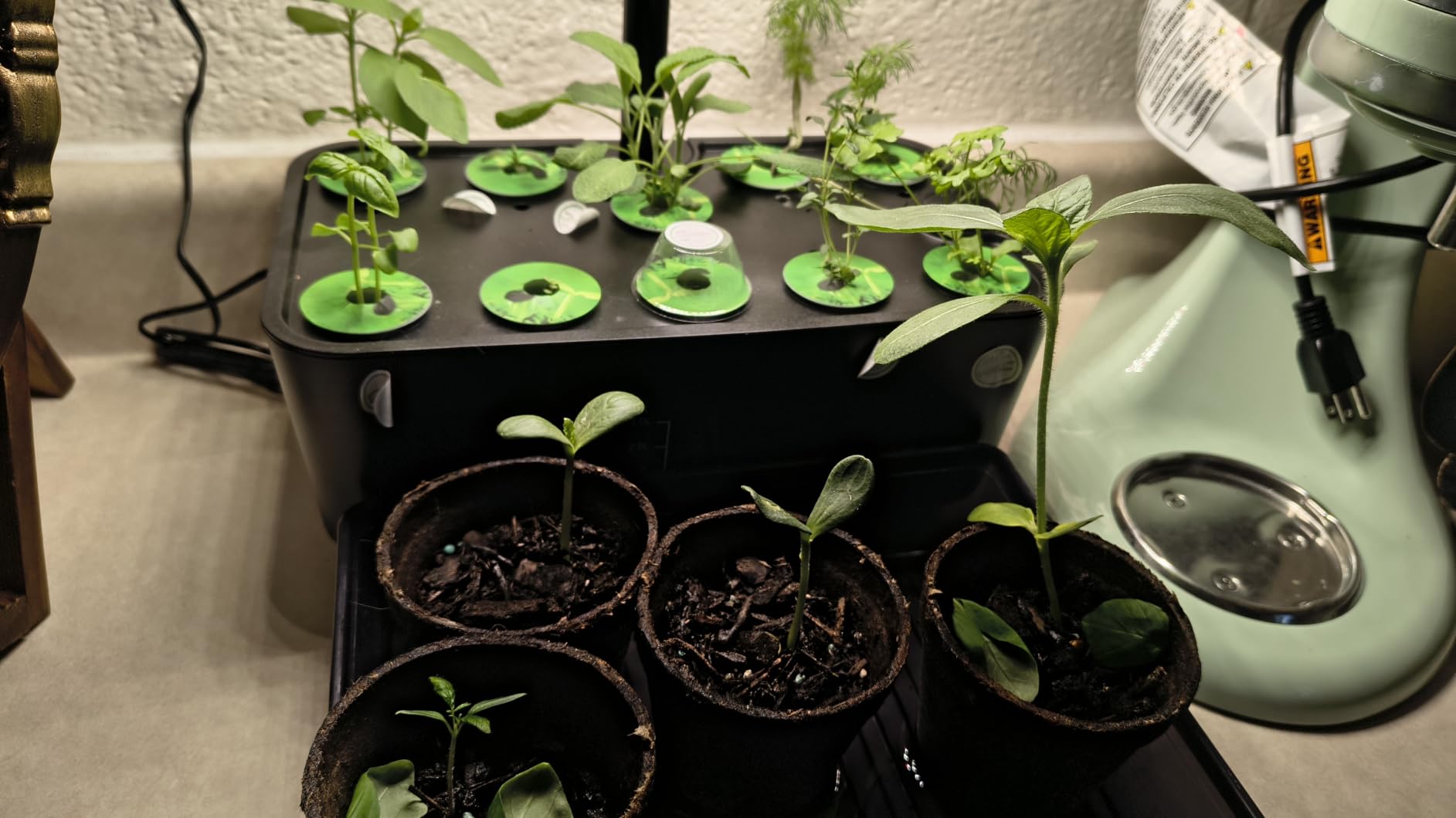 Indoor Garden Hydroponics Growing System: 10 Pods Plant Germination Kit Herb Vegetable Growth Lamp Countertop with LED Grow Light - Hydrophonic Planter Grower Harvest Lettuce customer photo 2