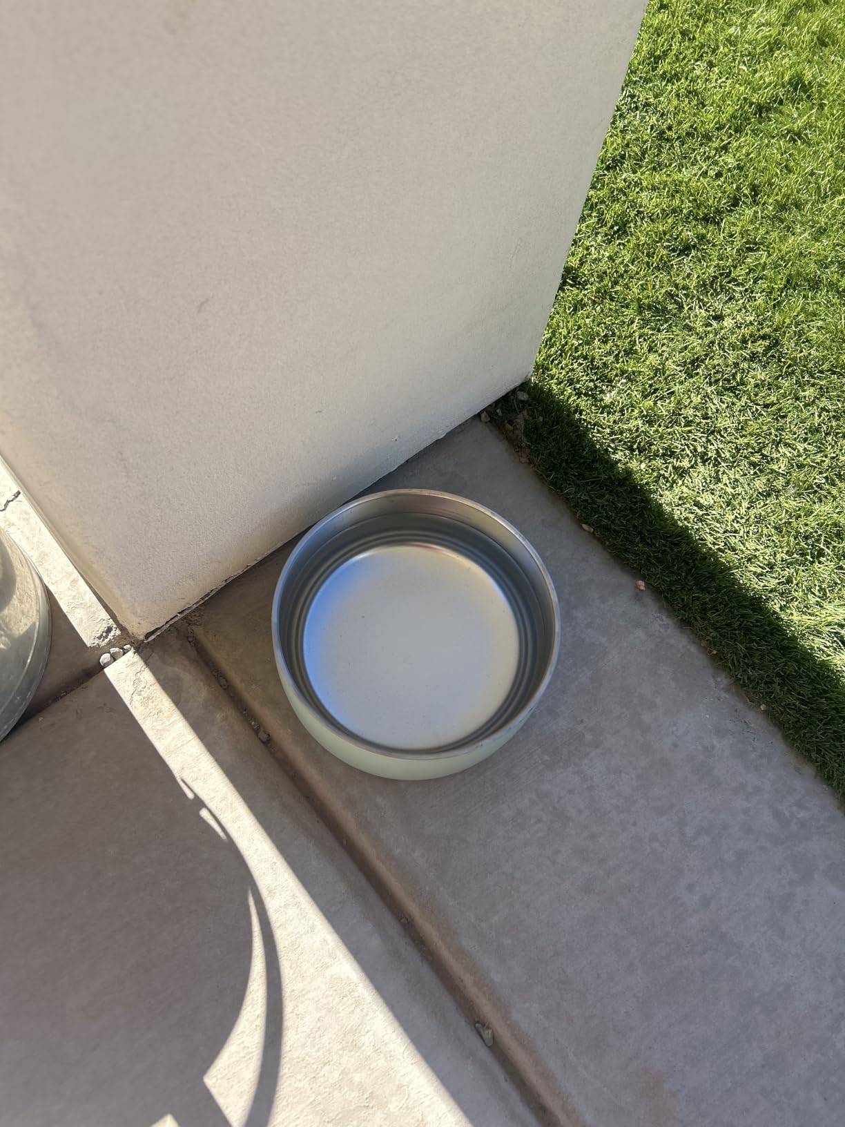 Simple Modern Dog Bowls & Cat Bowls | Medium (4 Cups) | Green | Bentley Stainless Steel Dog Water Bowl & Cat Water Bowl | Insulated Food Bowl | No Tip No Slip Base | Sea Glass Sage customer photo 1