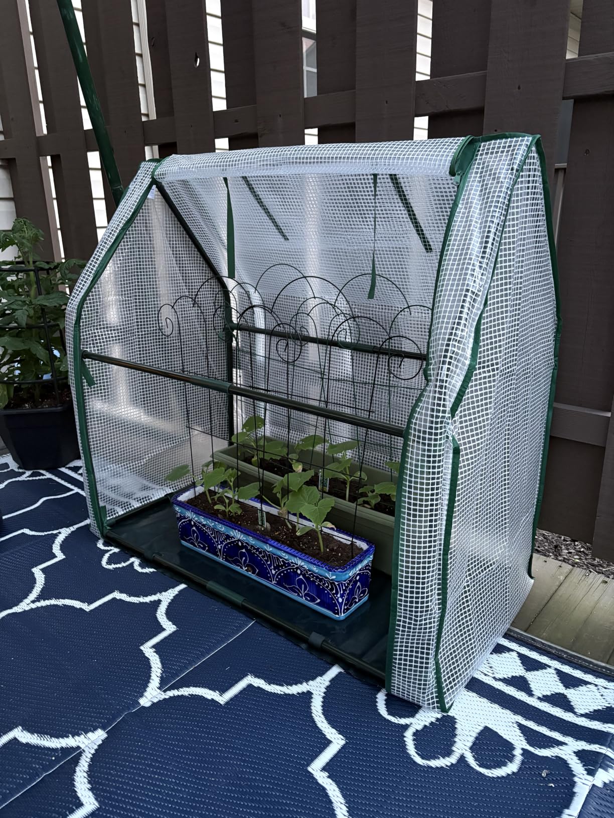 Mini Greenhouse for Indoor Outdoor: Ohuhu Portable Green House with Waterproof Pad for Small Plants Nursery Germination, 36