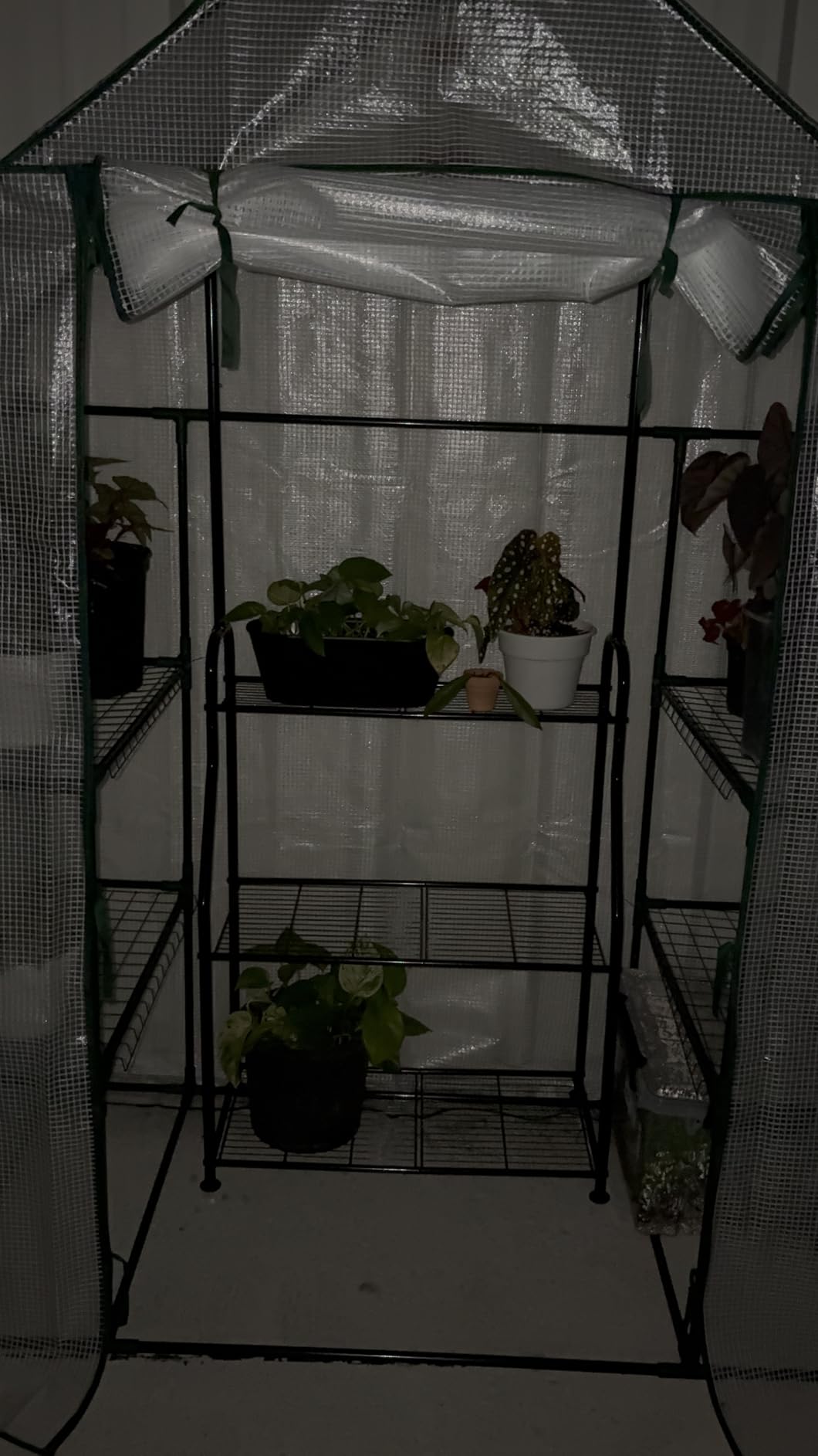 56x30x76 Walk-in Greenhouse for Outdoors, Portable Plant House with Shelves | White PE Cover, Three Shelf Levels on Each Side, Roll-Up Zipper Door, Steel Frame customer photo 1