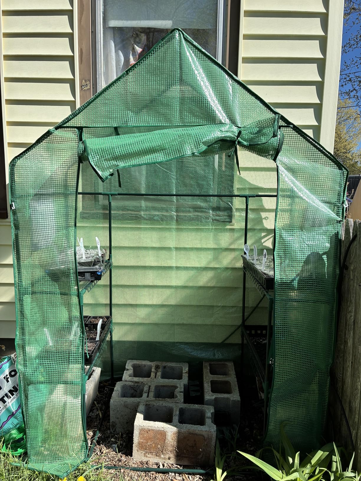 Heyfurni Walk in Greenhouse with Shelves,Walk-in Plant Green House with Durable Green PE Cover, 3 Tiers 6 Shelves Stands with Ground Pegs & Ropes for Stability, 56