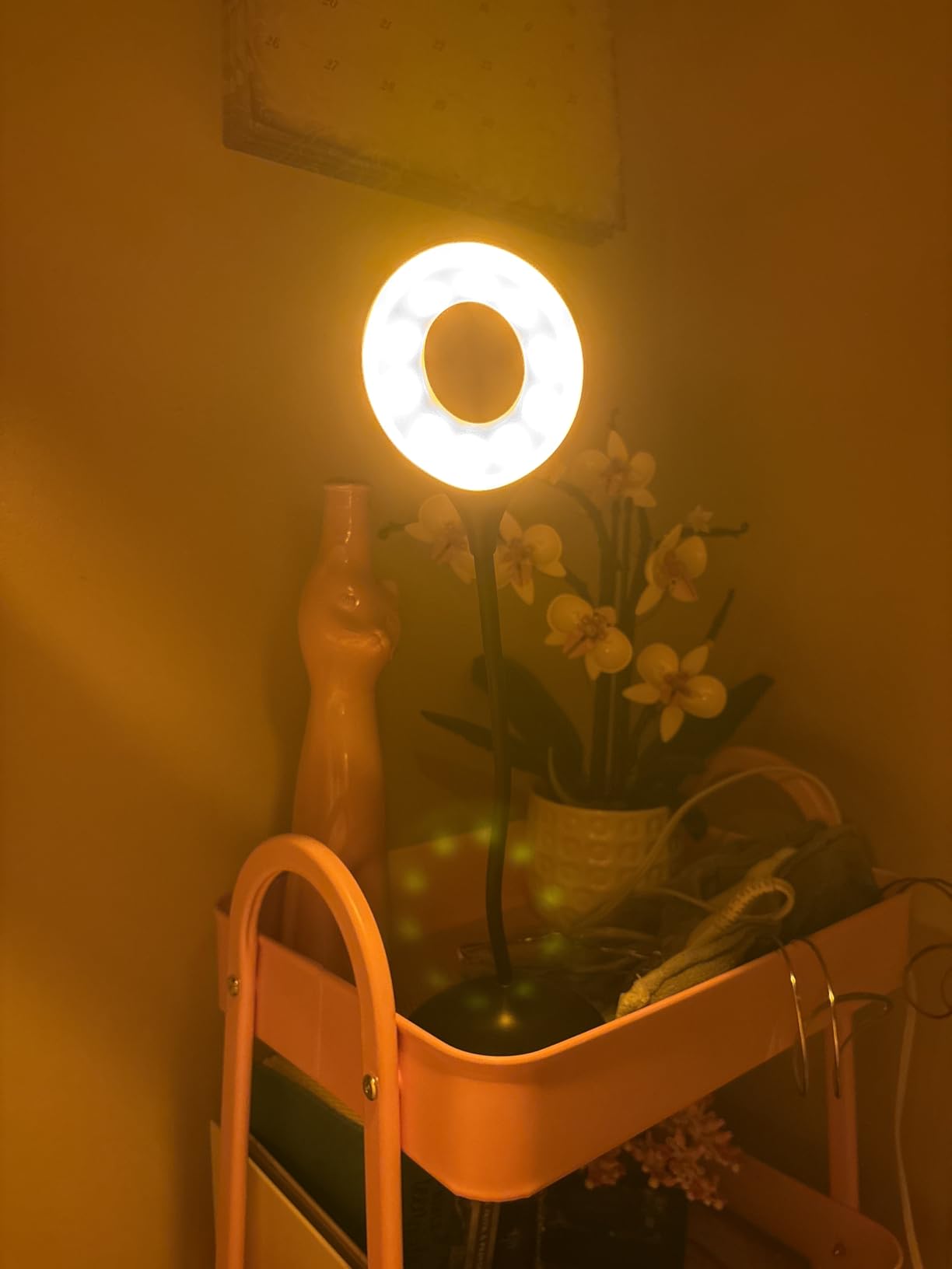 hooga Desk Lamp, Blue Light Blocking, 3 Modes: Amber 1600K, Red, Full-Spectrum 4000K, Dimmable, Rechargeable, Eye Strain Relief, Circadian Friendly customer photo 2