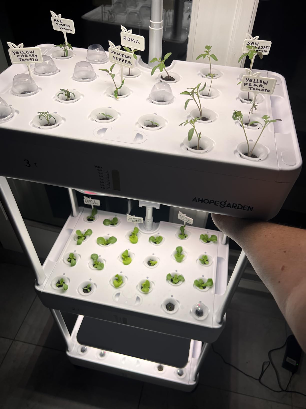 Indoor Garden Hydroponics Growing System Kit: 66 Pods Plant Herb Garden Germination Kit with LED Grow Light, 30L Large Capacity Kitchen Hydroponics Planter Grower for Vegetable Fruit customer photo 1