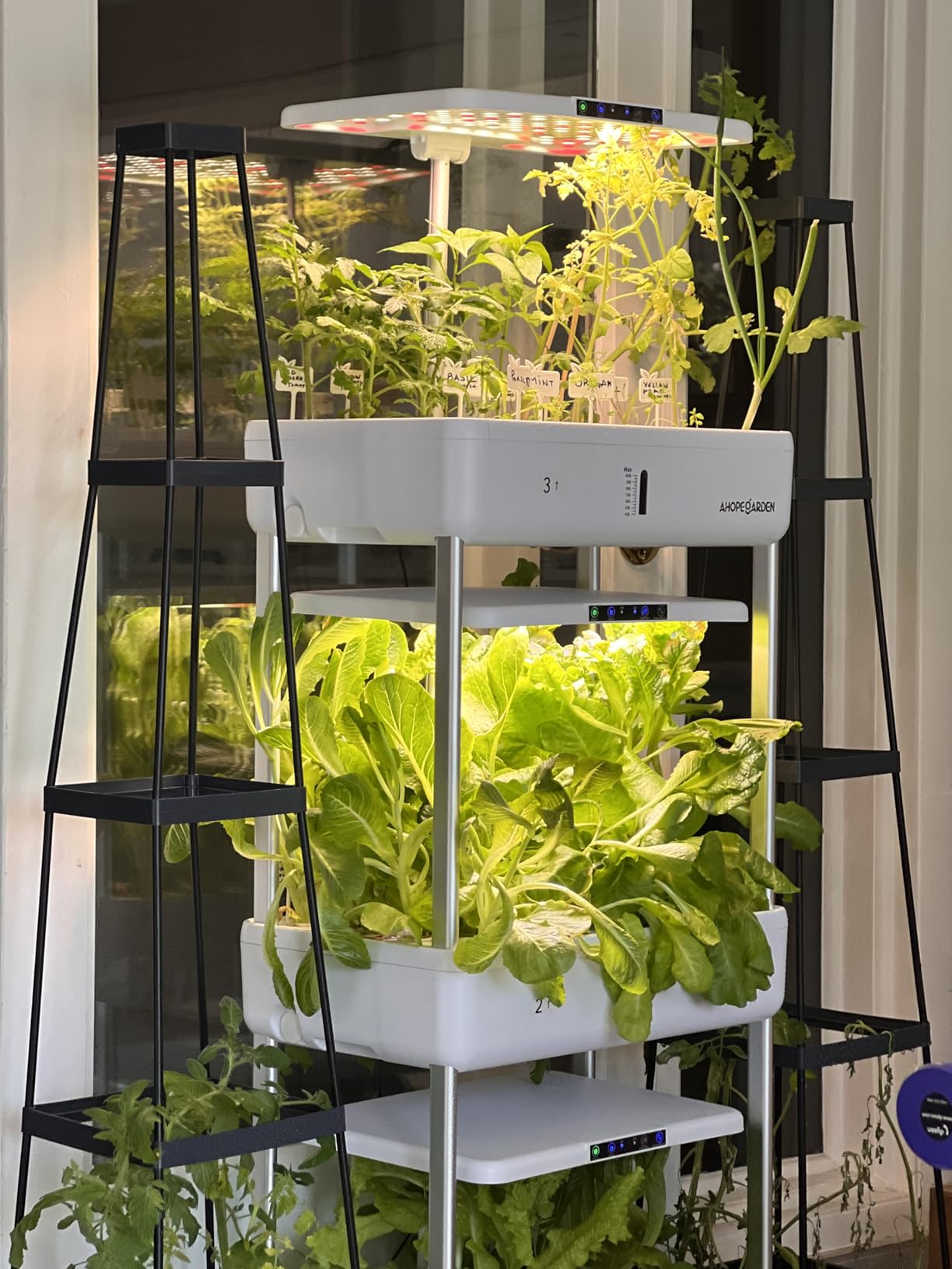 Indoor Garden Hydroponics Growing System Kit: 66 Pods Plant Herb Garden Germination Kit with LED Grow Light, 30L Large Capacity Kitchen Hydroponics Planter Grower for Vegetable Fruit customer photo 2