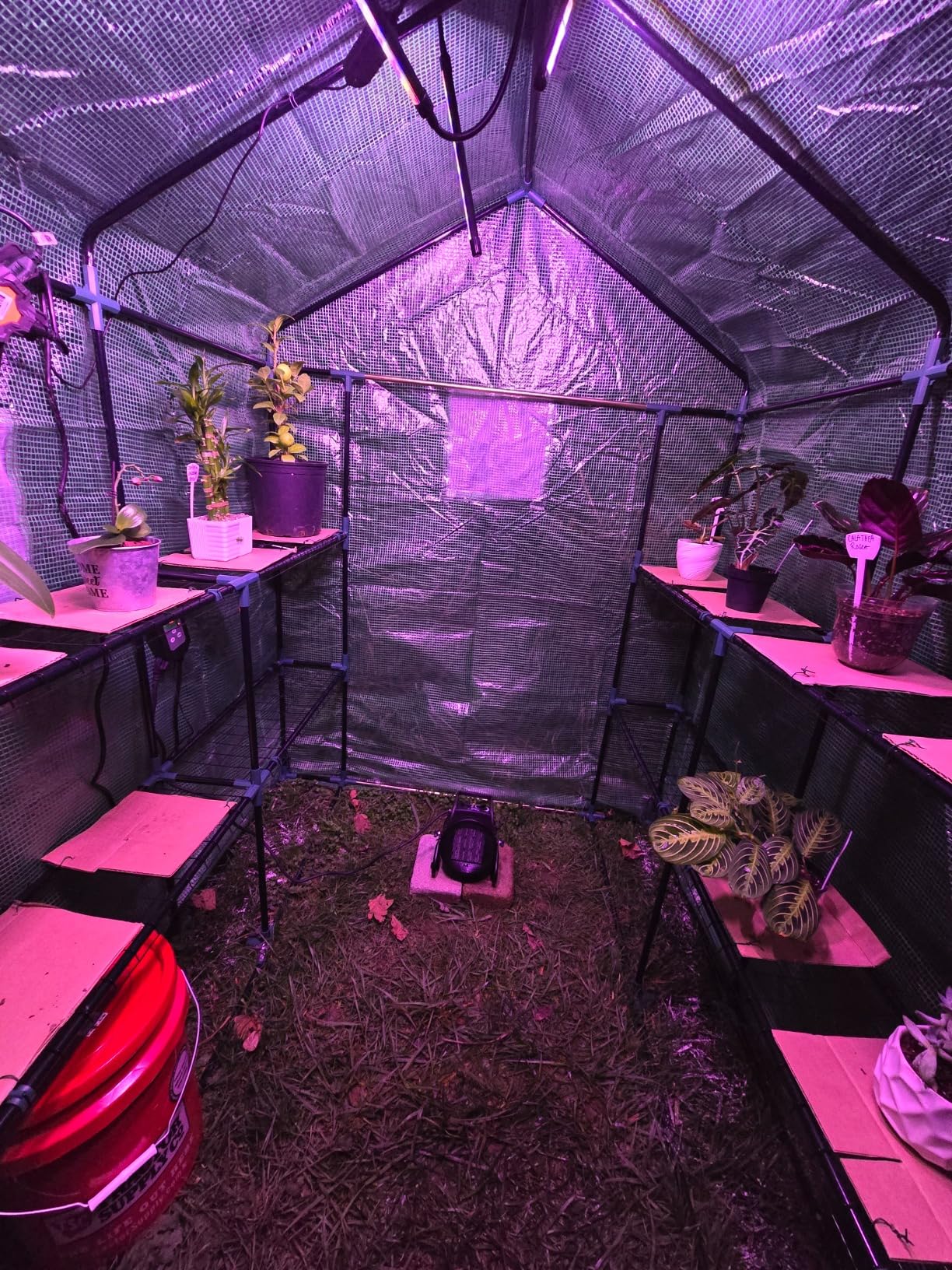 Greenhouse Heater with Thermostat, Auto Temperature Control Kit with Digital Display, Fast Heating, Overheat Protection, for Grow Tent, Greenhouse, Flower Room, Patio, Winter Plants customer photo 2