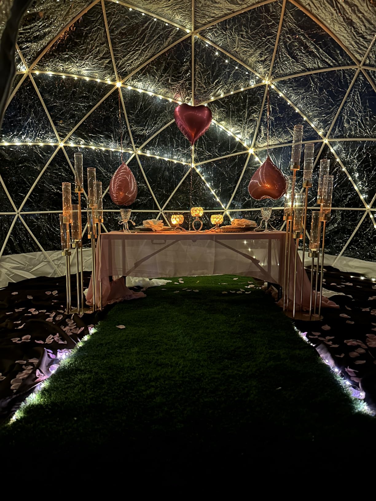 Garden Dome Bubble Tent House Outdoor, Upgraded Geodesic Dome Greenhouse with Transparent PVC Cover, Weatherproof Greenhouse Suitable for Patio (GREEN-12FT) customer photo 1
