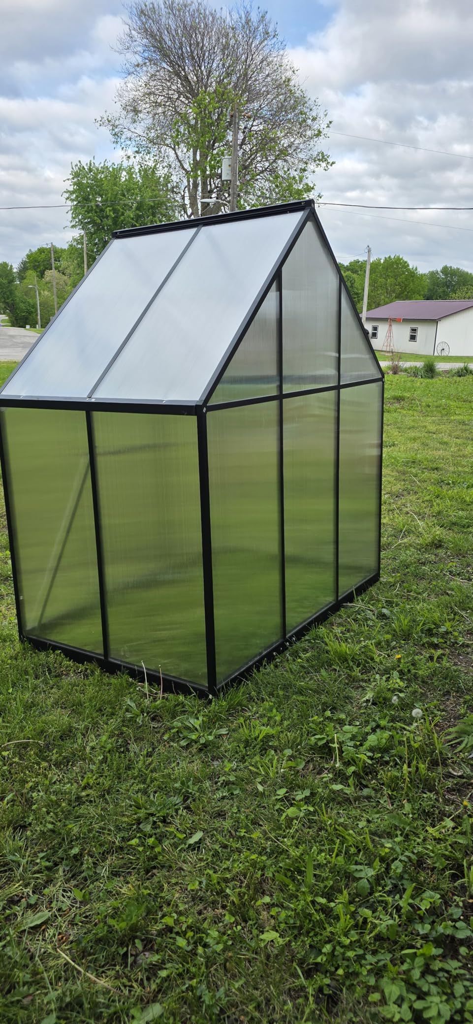 8X10FT Enhanced Aluminum Walk-in Greenhouse for Outdoors with Thermometer | Easy Assembly, UV-Resistant Panel, Rain Gutter, Lockable Sliding Door, Built-in Reinforcement, For Vegetable, Flower and Herb customer photo 1