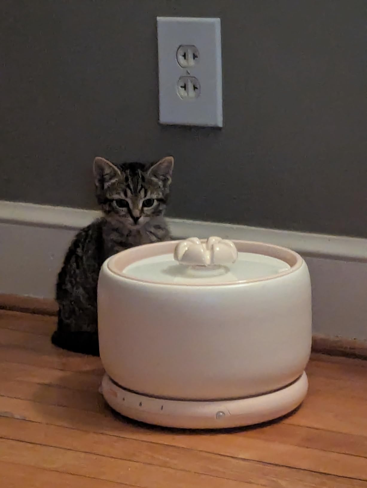WOPET Premium Ceramic Cat Water Fountain W03 Lite, 3L/101oz Automatic Pet Water Fountain for Cats & Dogs, Dishwasher Safe, Luxury Cat Fountain with Ultra-Quiet Pump and Filter & Sponge customer photo 1