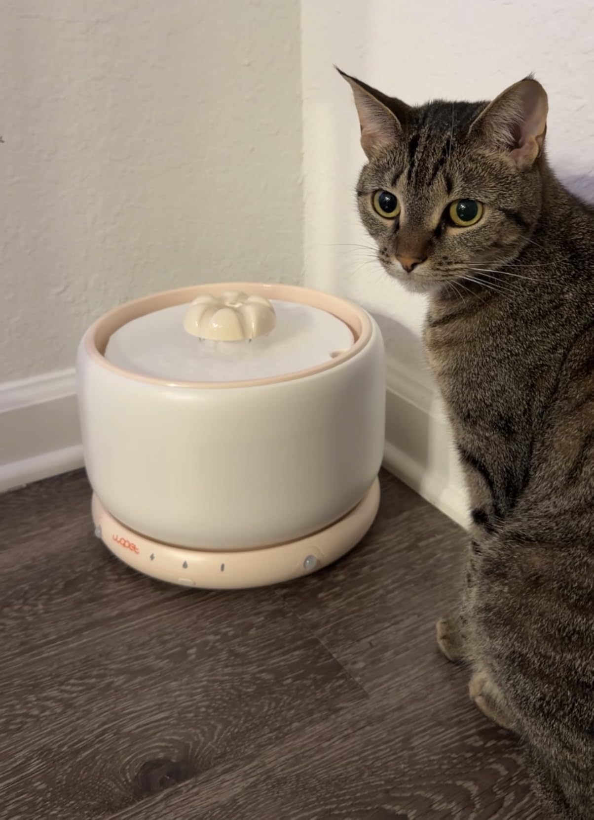 WOPET Premium Ceramic Cat Water Fountain W03 Lite, 3L/101oz Automatic Pet Water Fountain for Cats & Dogs, Dishwasher Safe, Luxury Cat Fountain with Ultra-Quiet Pump and Filter & Sponge customer photo 2