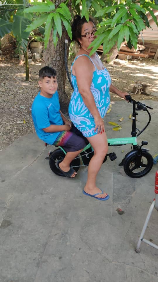 Foldable Electric Bike for Adults, 14