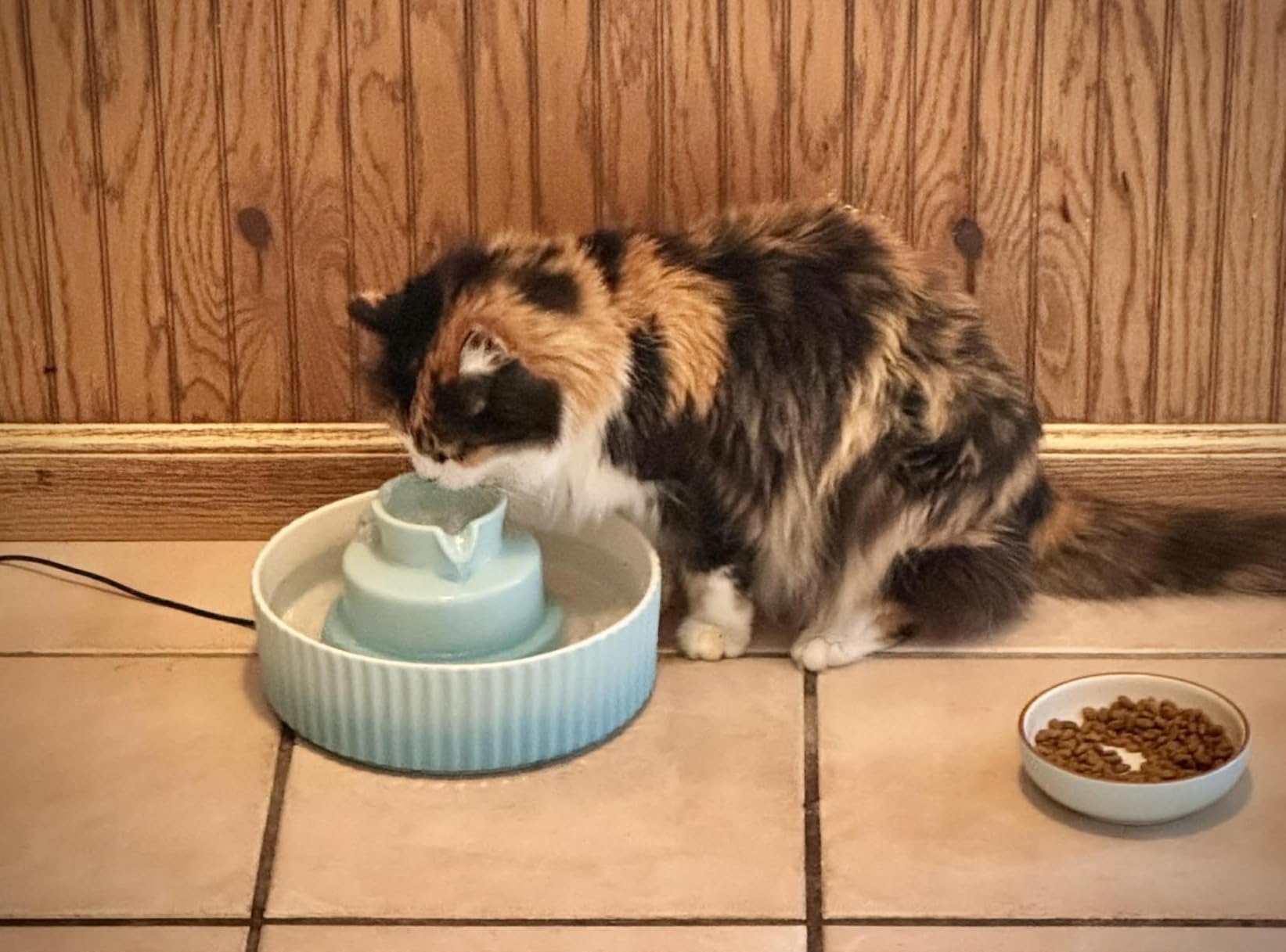 Upgrade Ceramic Cat Water Fountain, 2.2L/78oz Ceramic Cat Fountain, Automatic Ceramic Water Fountain for Cats, Pet Water Fountain with Ultra-Quiet Pump (White) customer photo 1