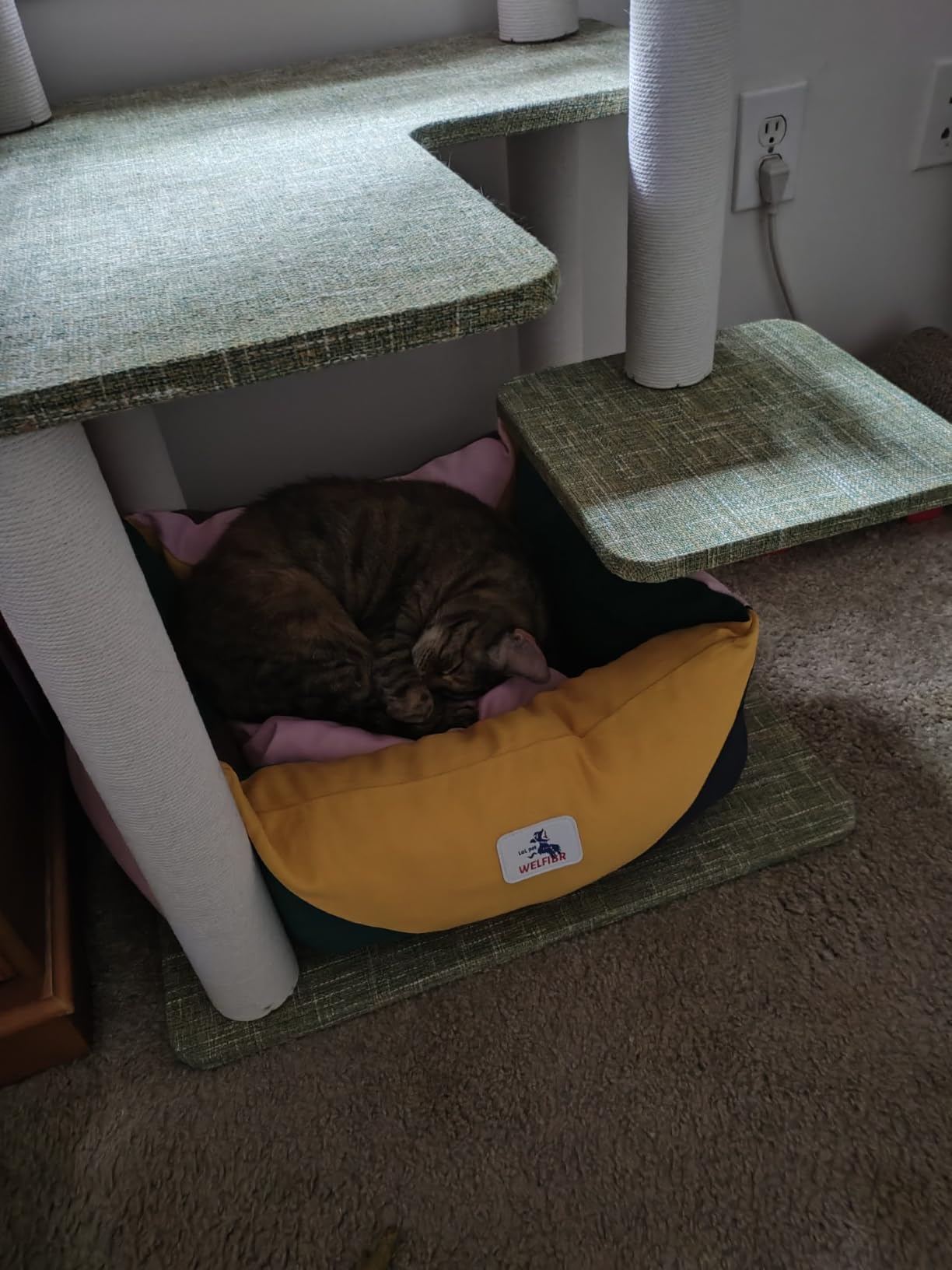Cotton Canvas Dog Bed (290gsm Thick) 30