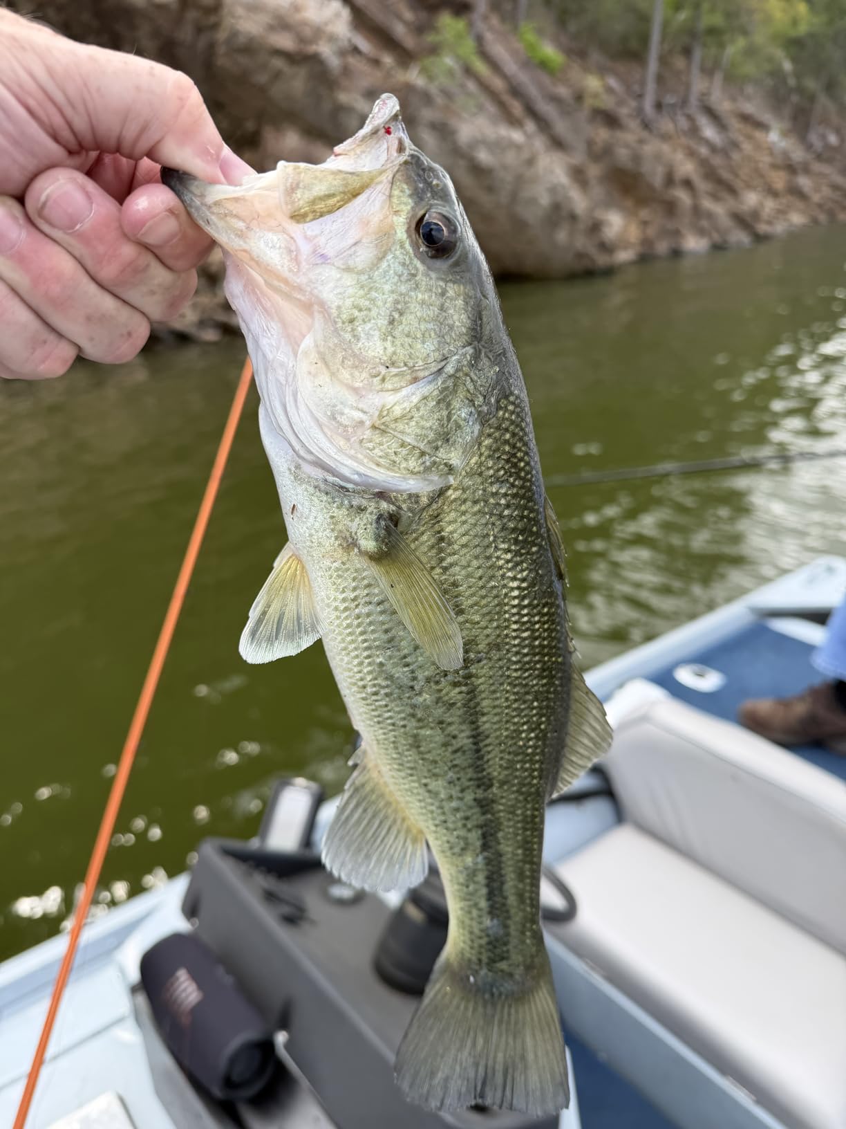 KastKing Lethal Blaze Baitcasting Fishing Reel, 7.3:1 High-Speed Gear Ratio, Low-Profile Baitcaster, Lightweight Glass Fiber-Infused Nylon Frame, Freshwater & Inshore Bass Fishing Reel customer photo 2