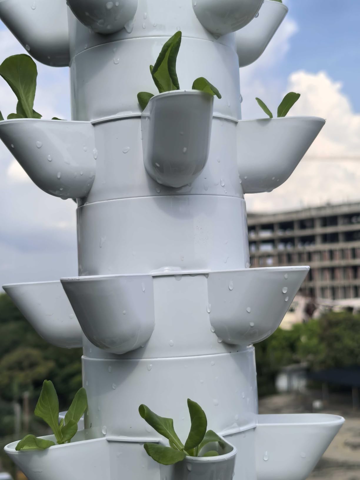 Hydroponics Growing System, 30-Plant Indoor Hydroponic Tower with Pump System, Plants Germination Kit, Smart Aeroponic Herb Garden, Vertical Hydroponic System for Gardening Lover (No Seed) customer photo 1